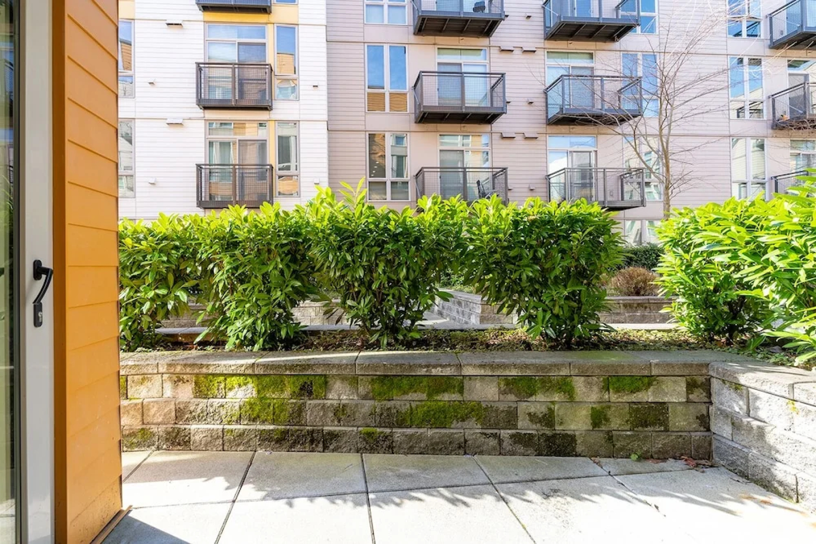 Sophari  Mercer Island Apartments