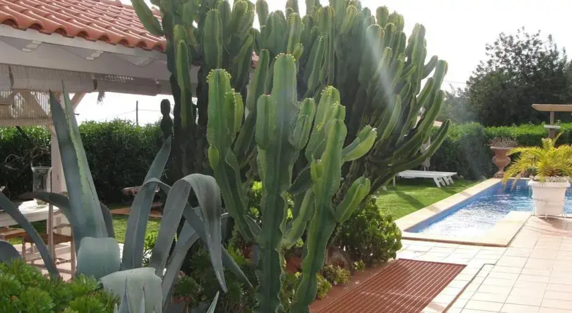 Casa dAlfarrobeira Suites
