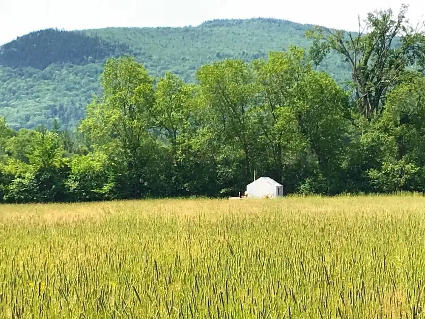 Tentrr - Lone Mountain Farm Camping