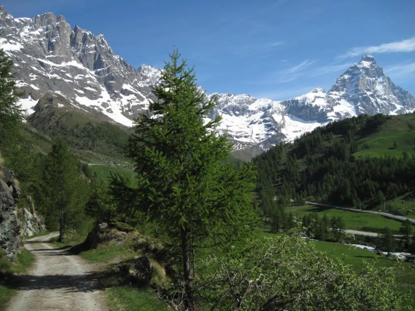 Hotel Meublè Meridiana