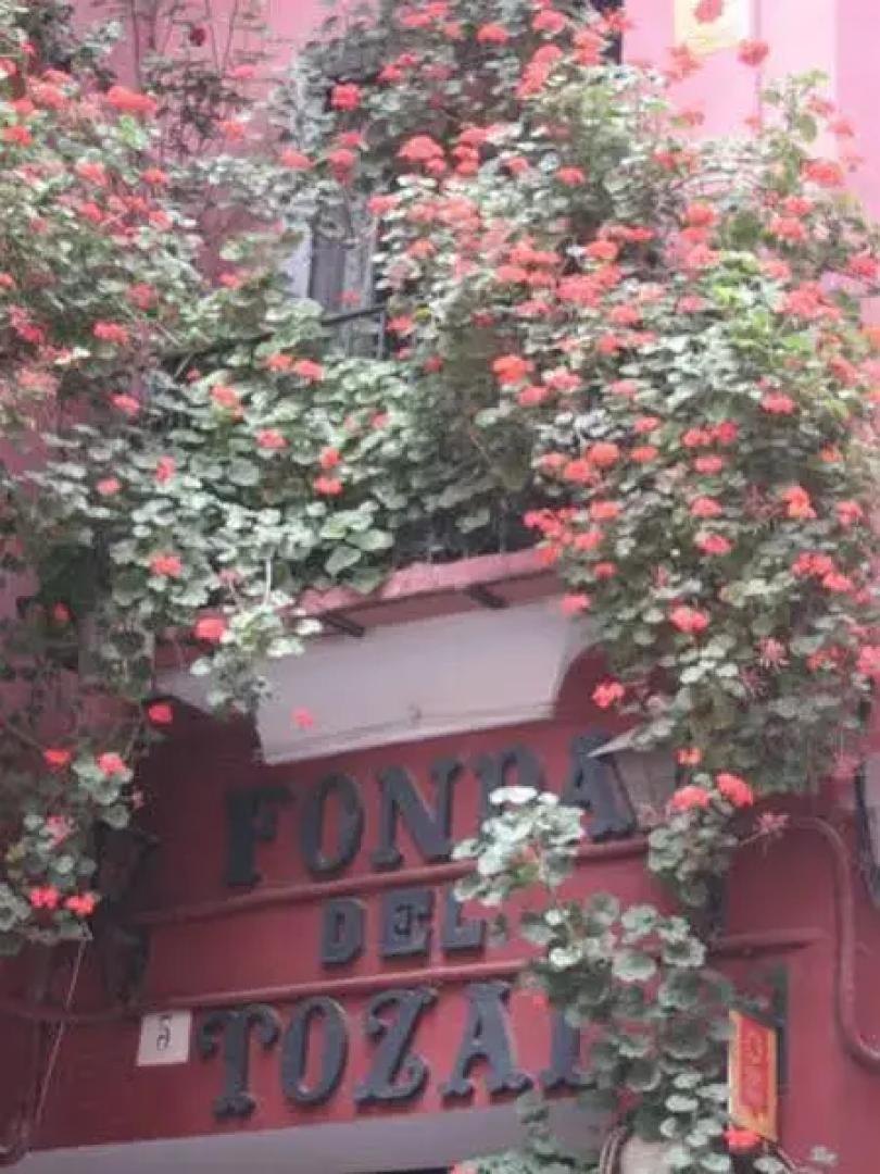 Fonda Del Tozal