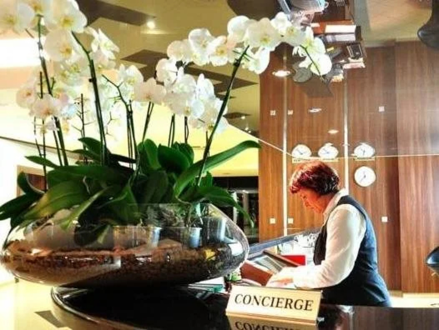 Spa Resort Tree of Life