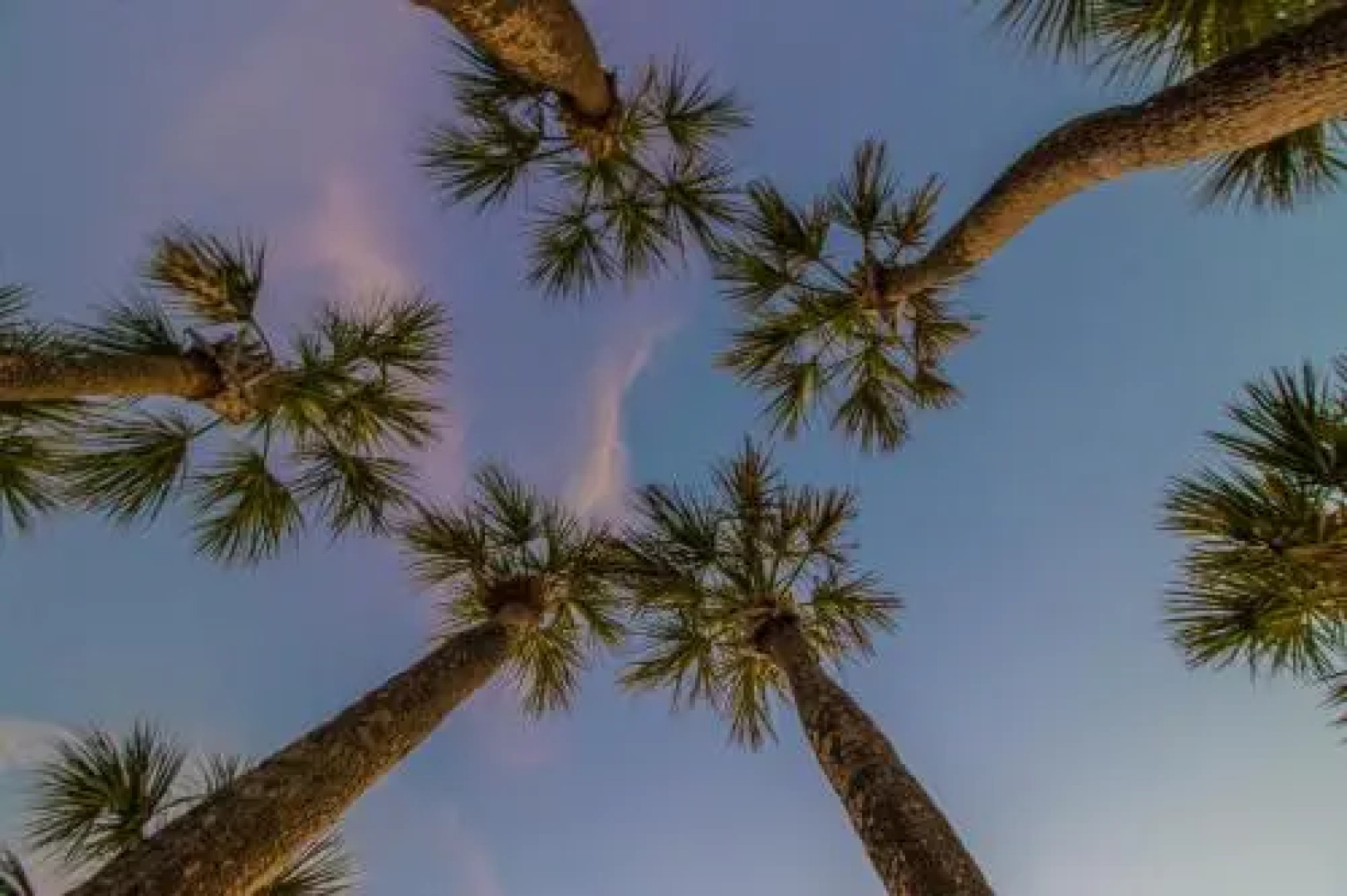 Gulf View Townhomes Unit 4