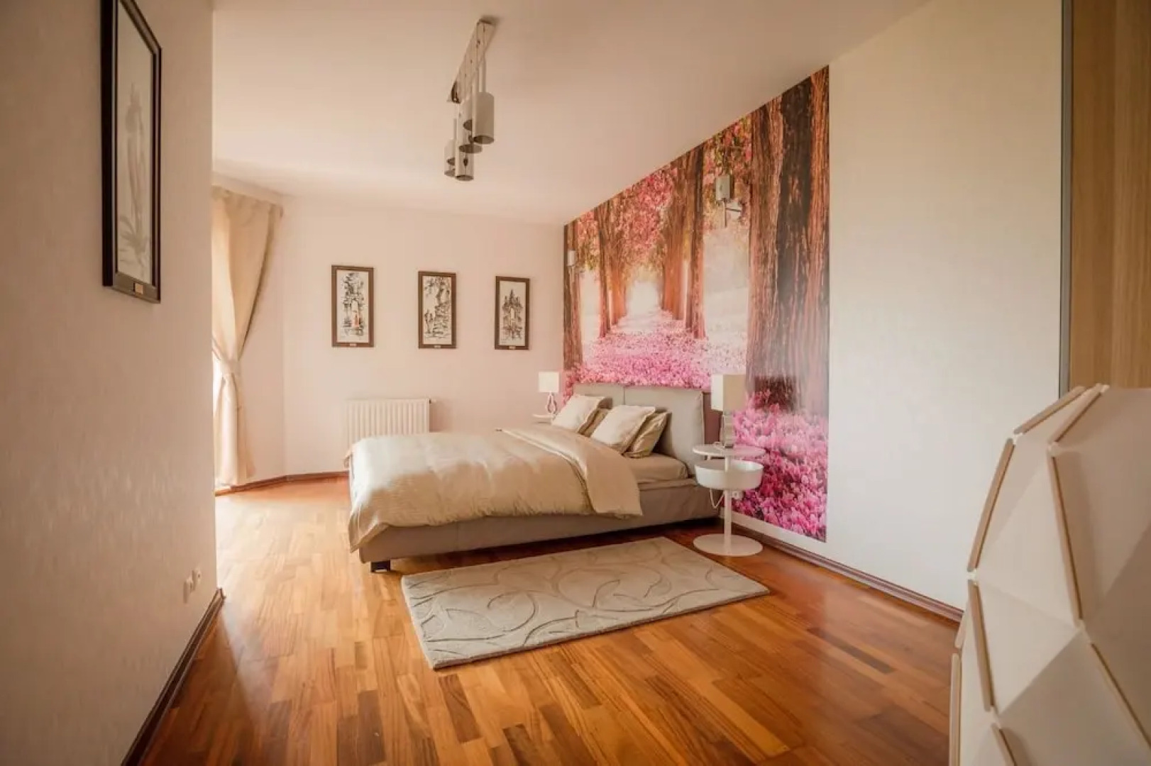 Wild Orchids of Bucharest