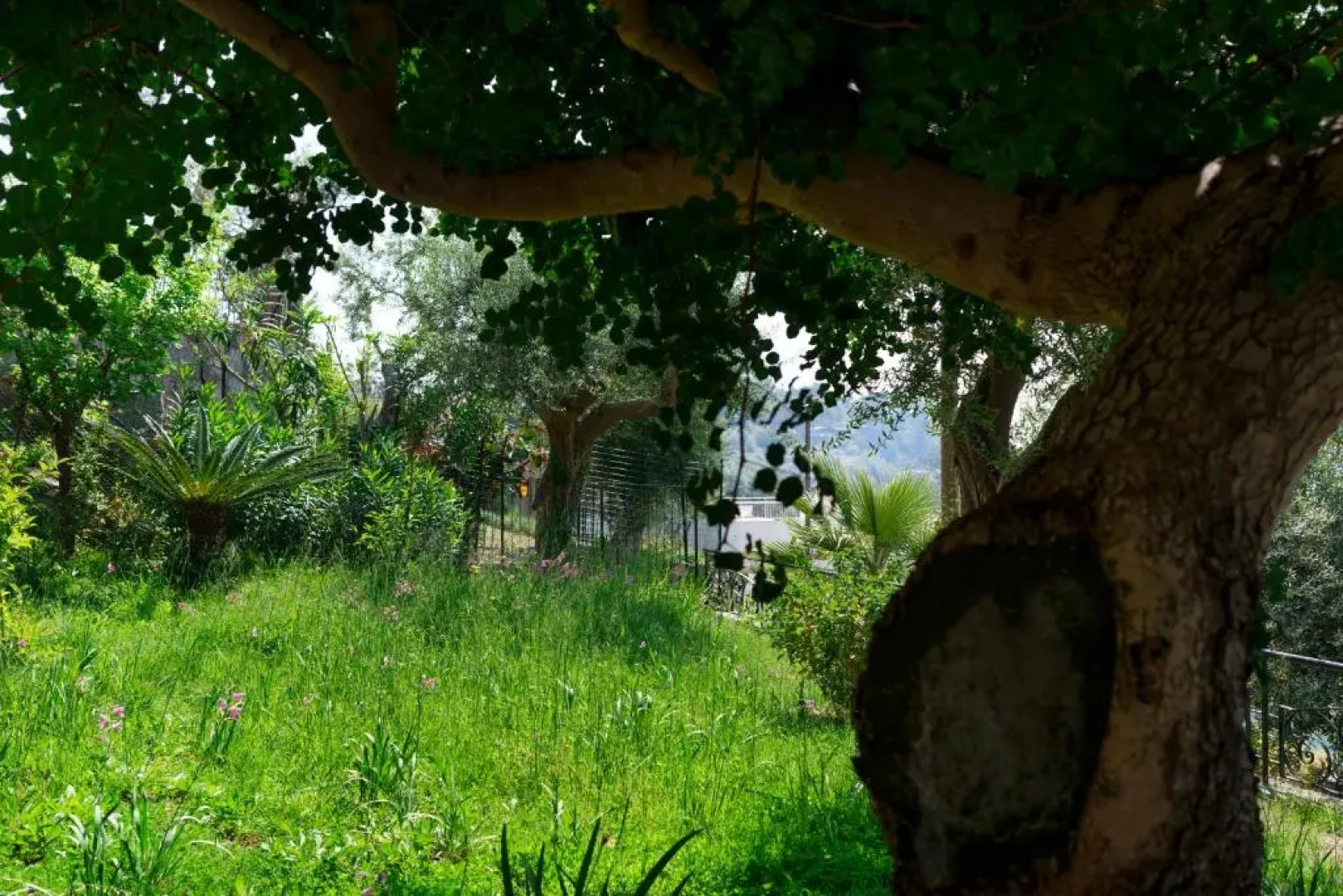 Incanto apartament stunning sea view