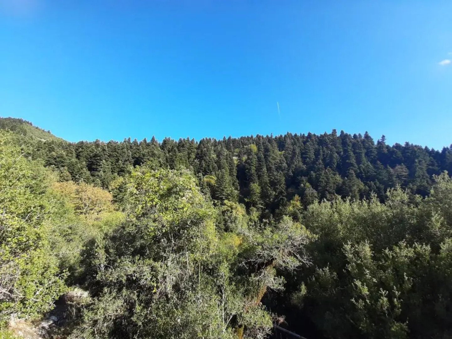 Tzoumerka Secret House