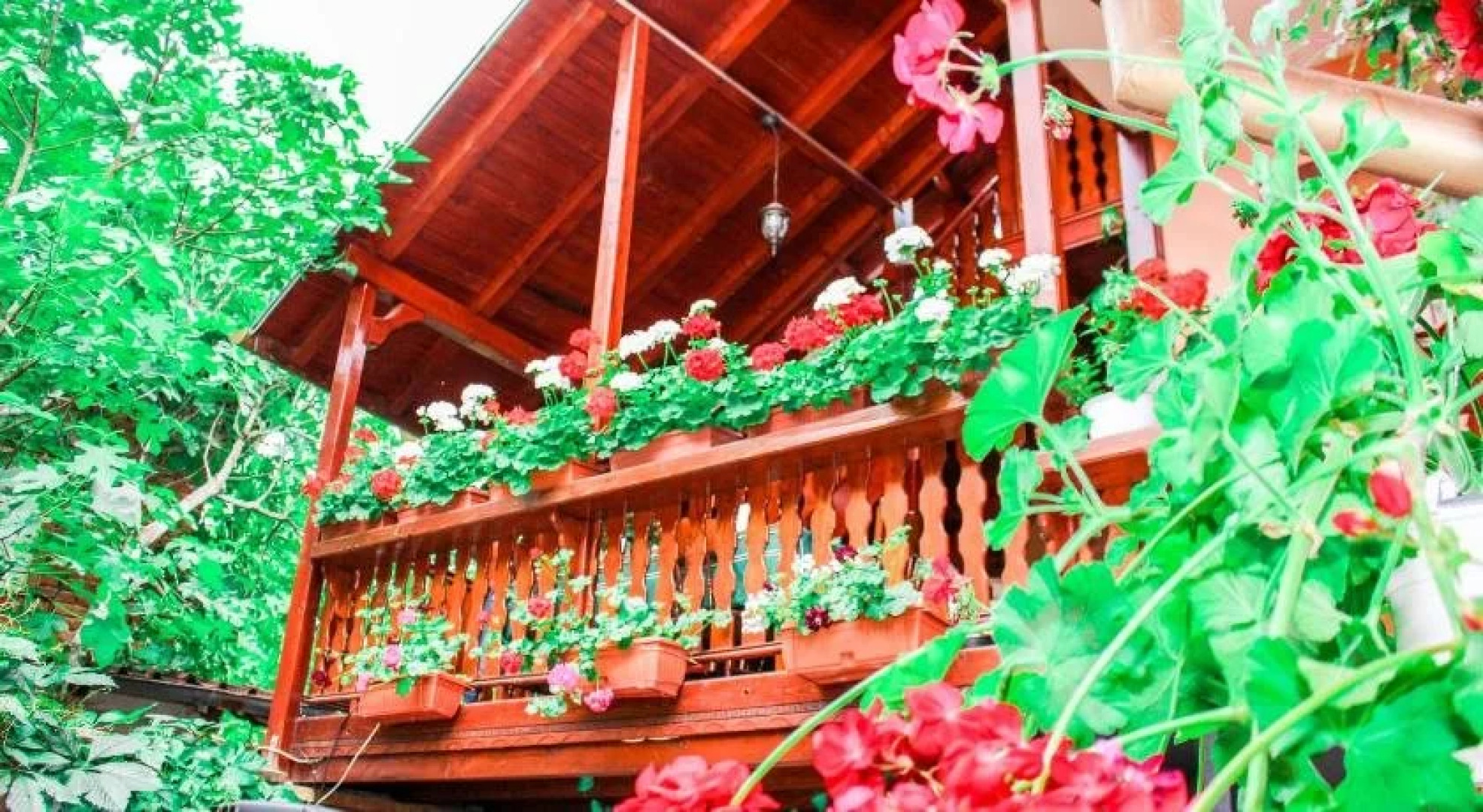 Family Hotel Markov's House