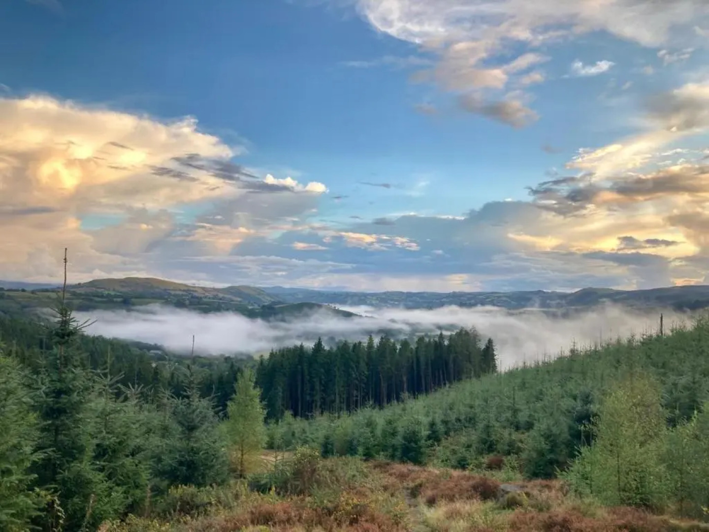 Traditional 18th Century Welsh Cottage