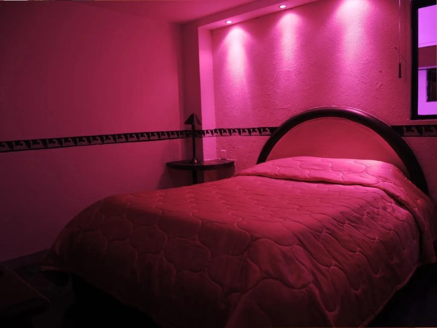 Hotel Humming Bird Ecuador