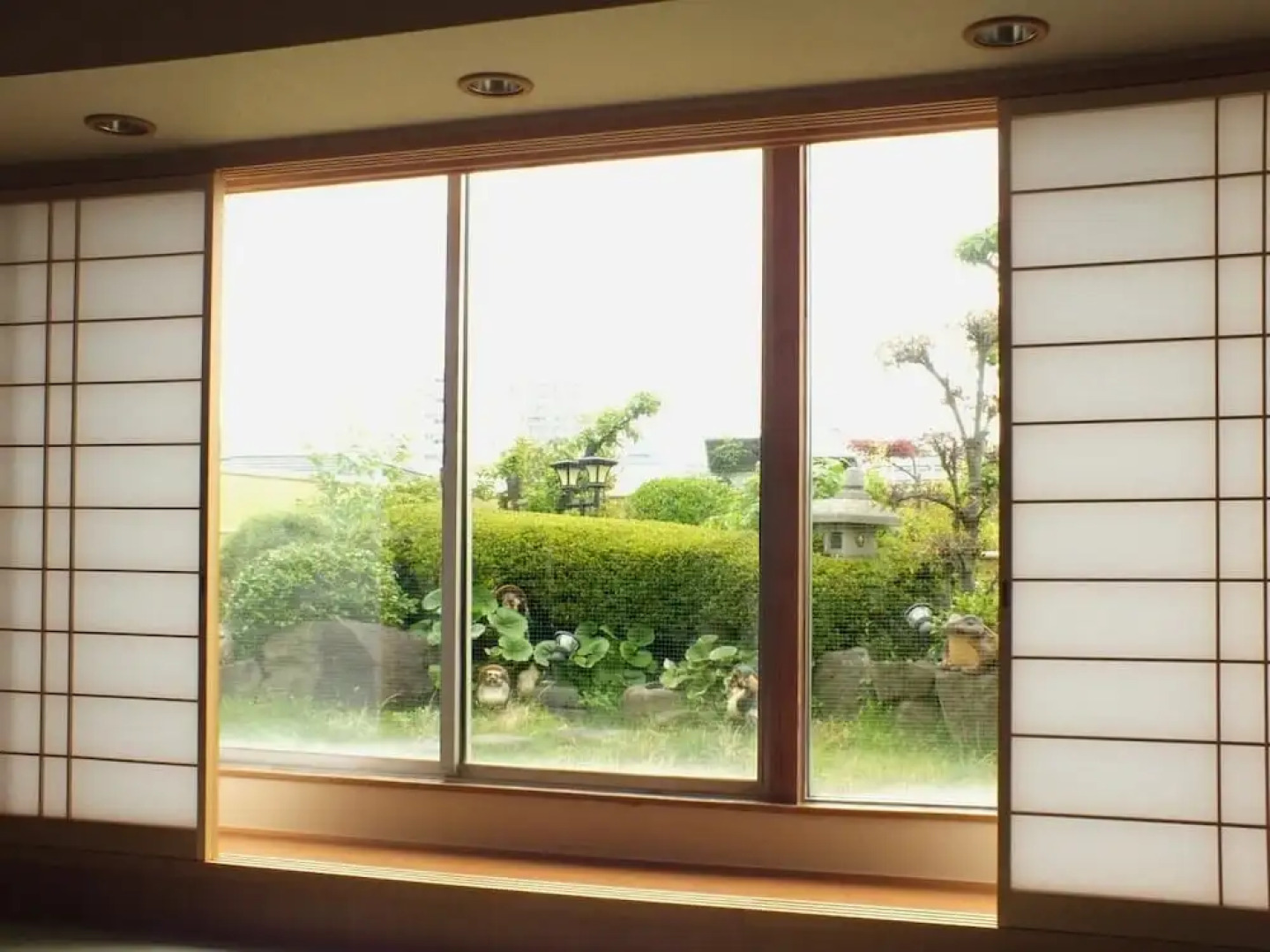 Hot Spring & Capsule Hotel copana