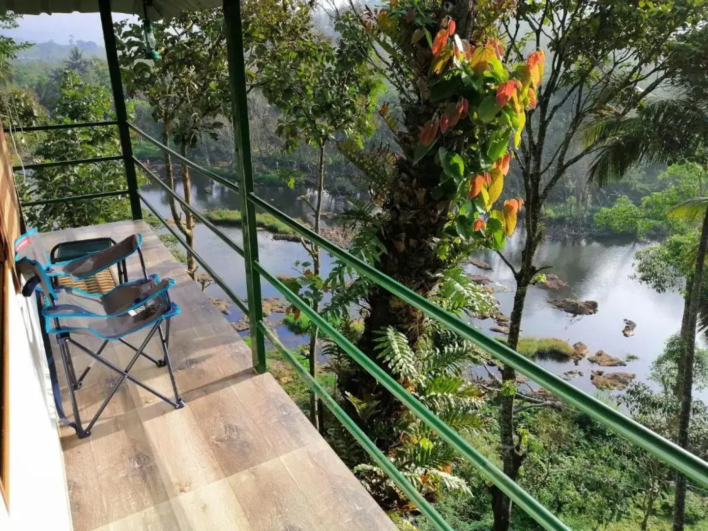 Noah's Nest Tree House