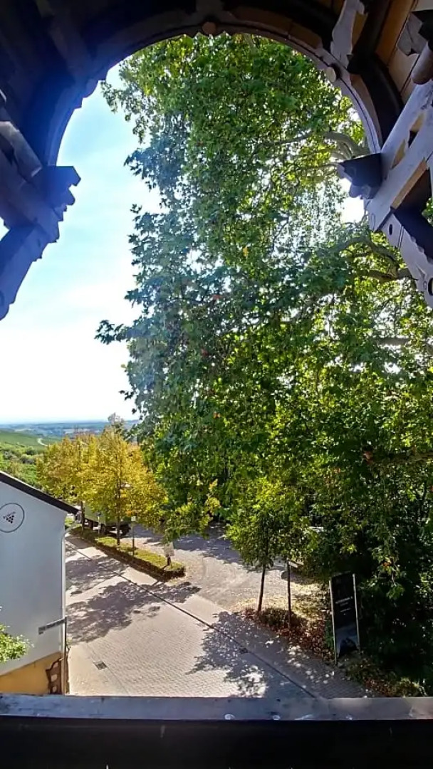 Der Schwarze Herrgott