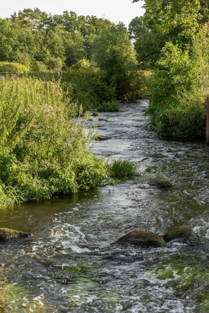 Wildland Natural Resort