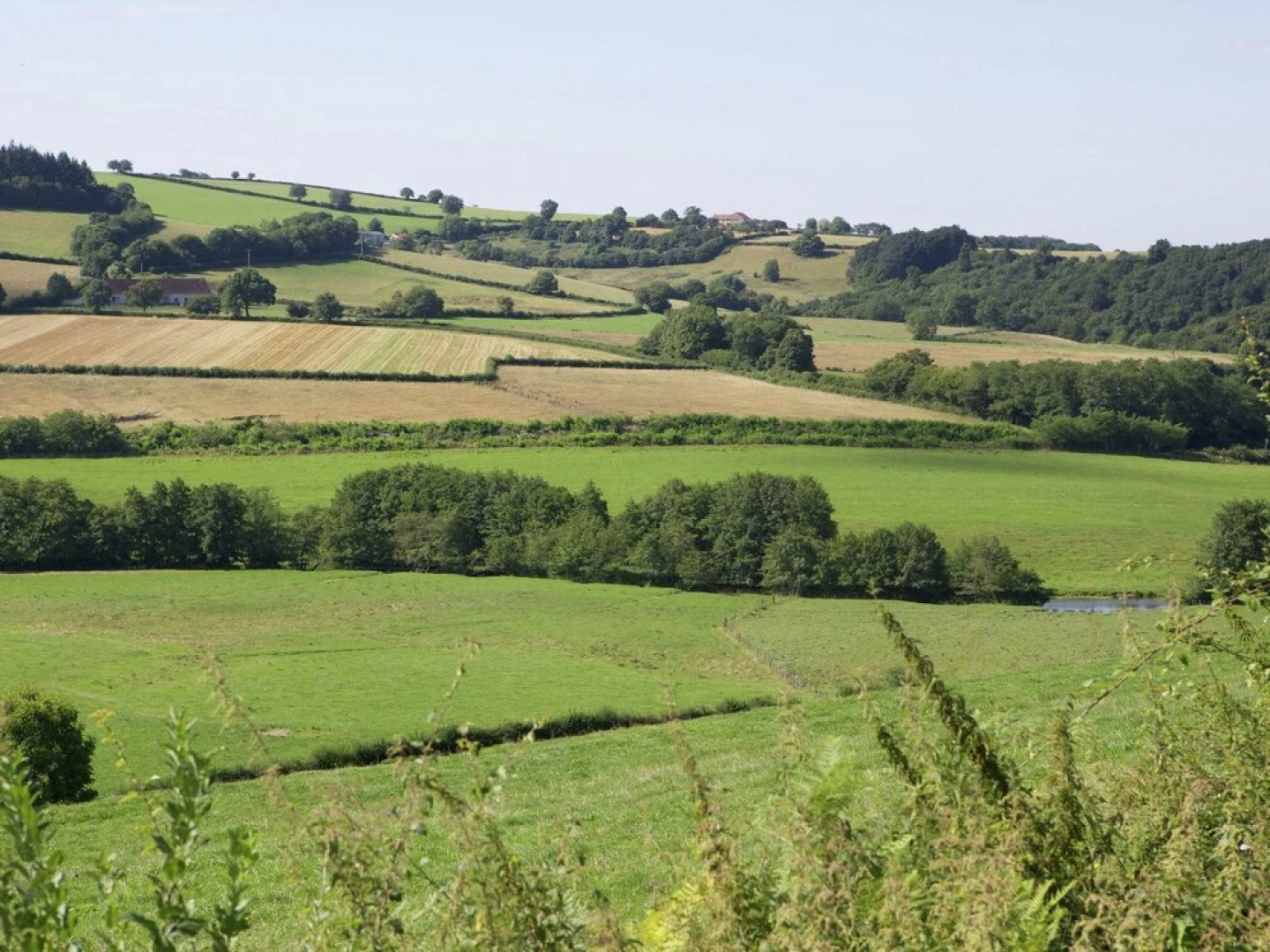 Cosy Holiday Home in Rémilly With a Terrace