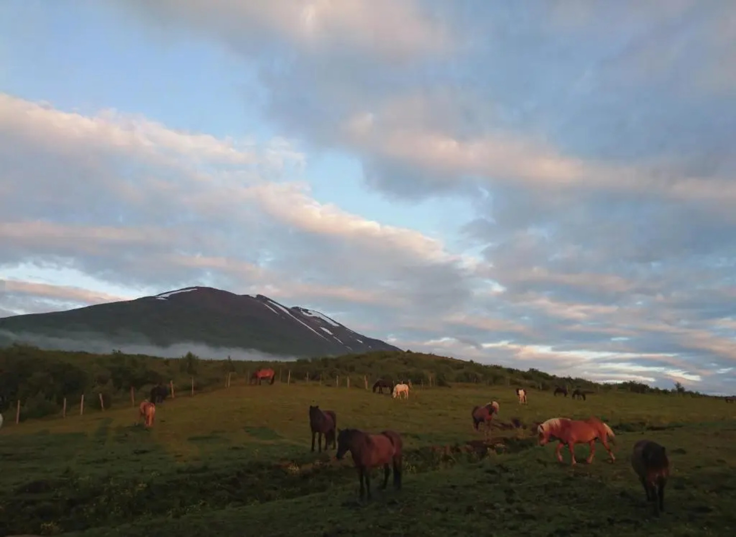 Stóra Sandfell Rooms and Cottages