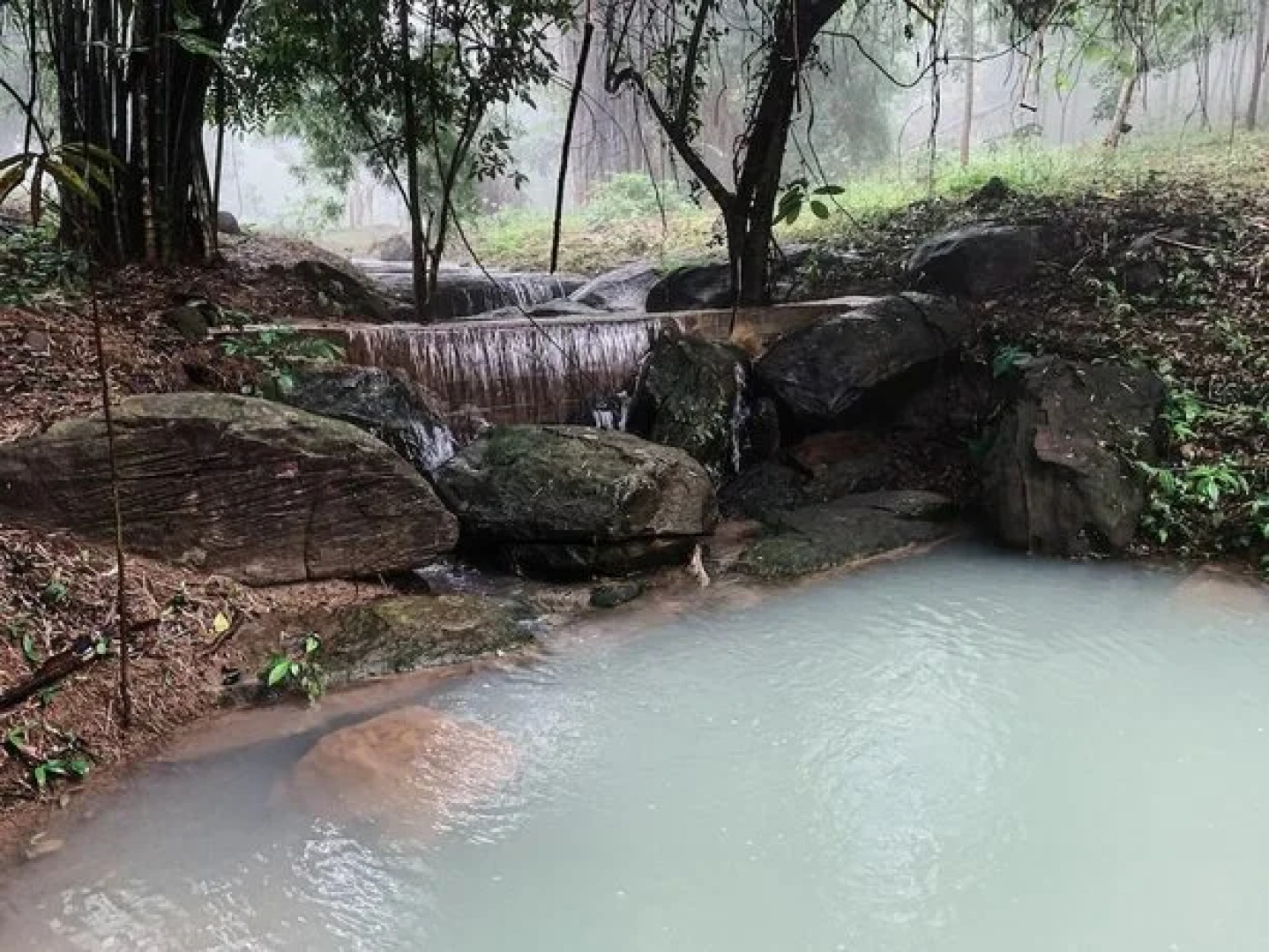 Phongtang garden Hill Homestay