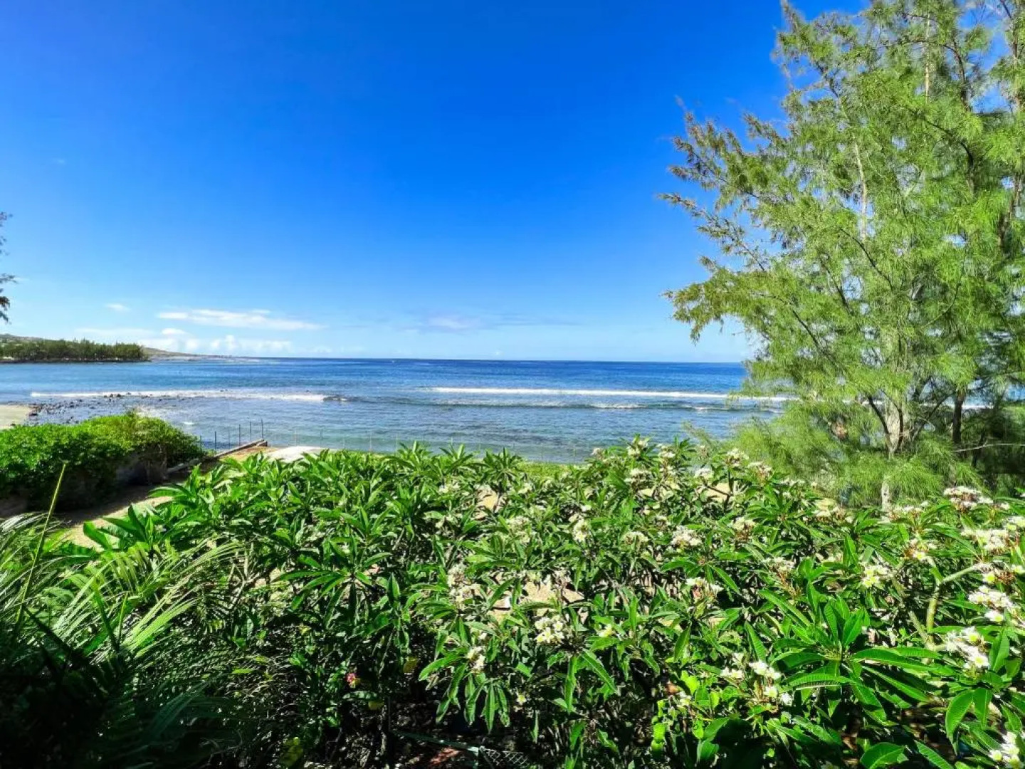 Le Pétrel Bleu - Appartement sur la plage des Tortues à Saint-Leu