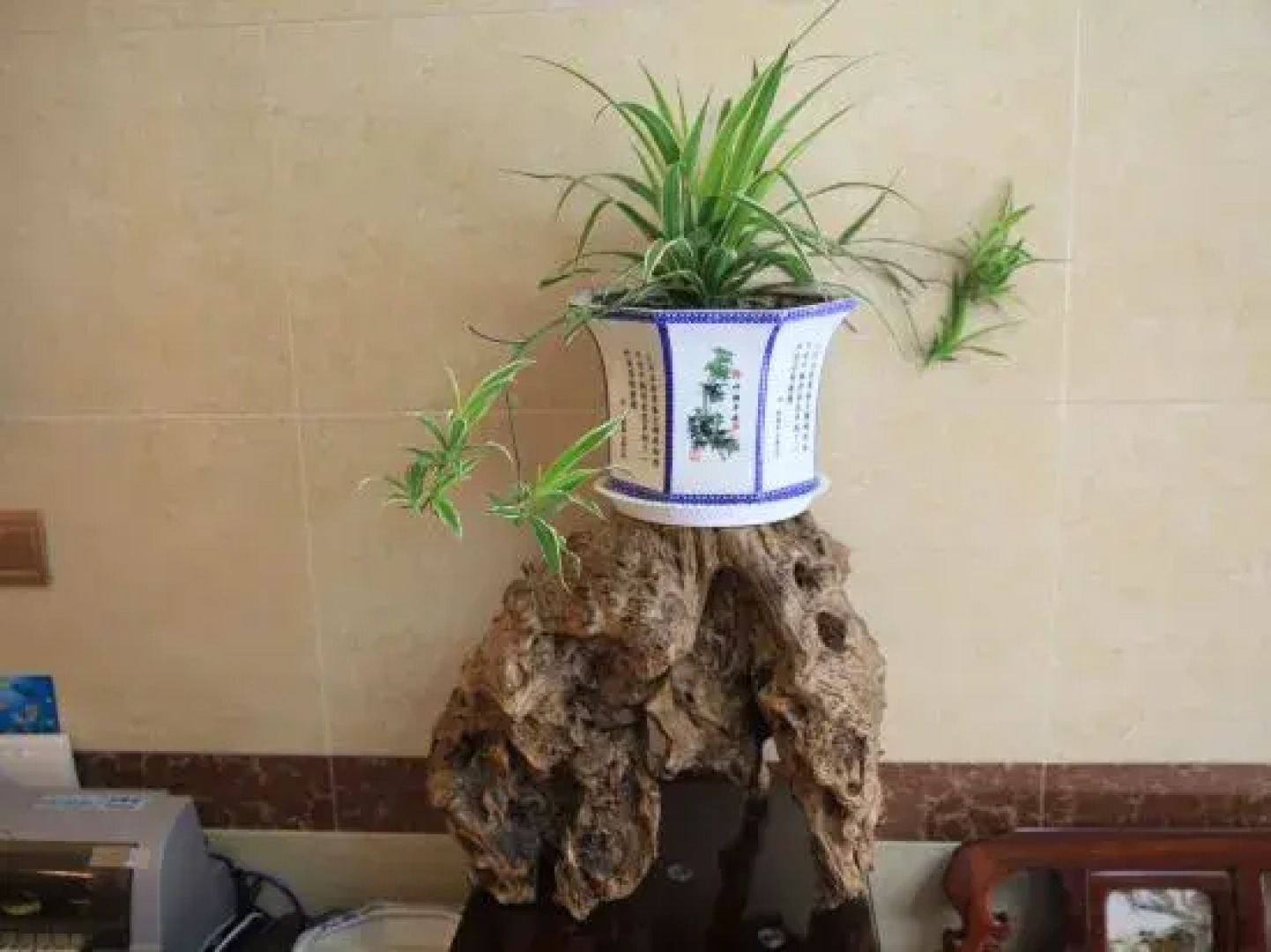 the Jiuhua Mountain Chicken Heights