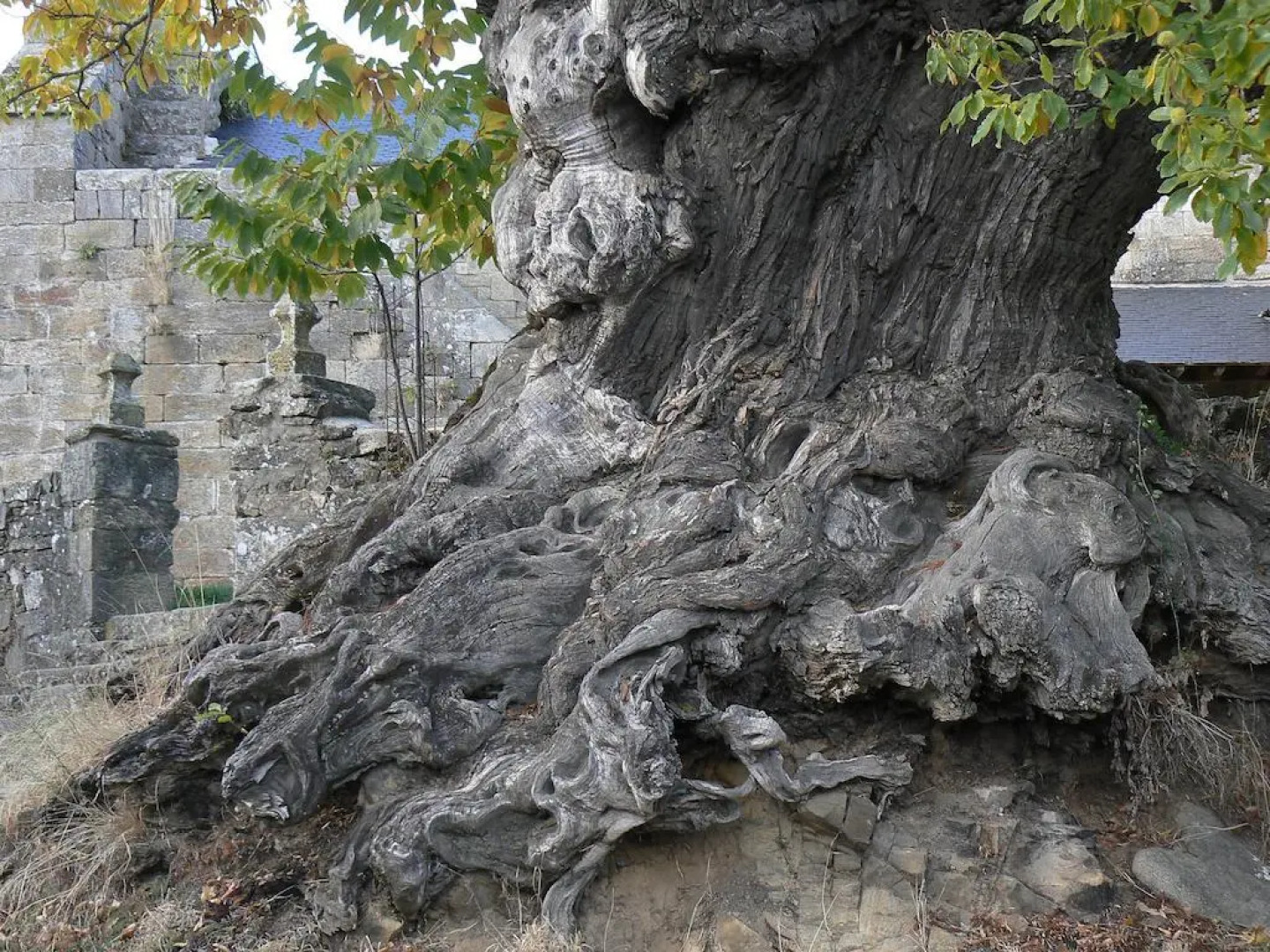 Casa Rural La Coral de Sanabria