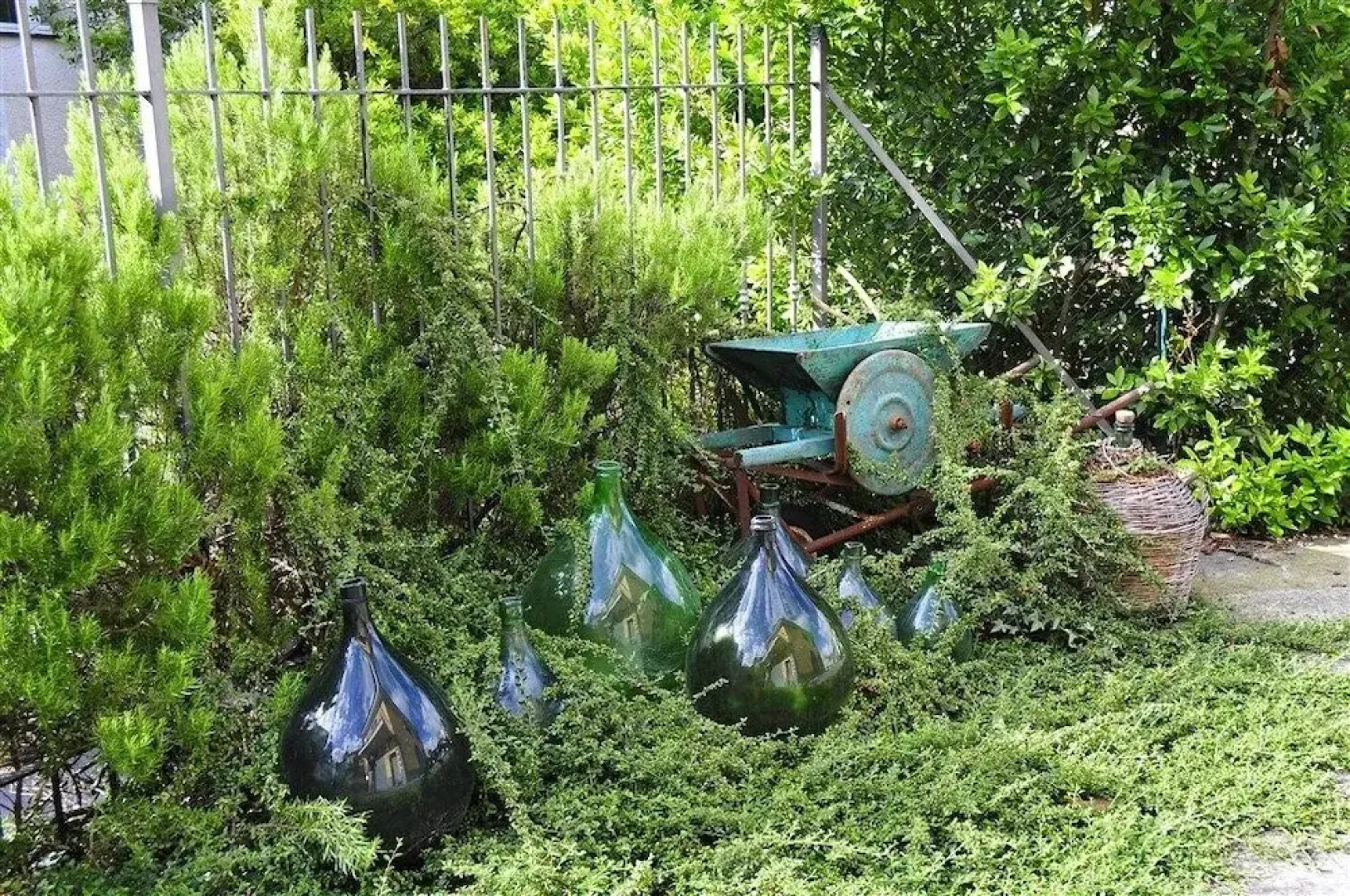 Agriturismo U Caruggiu