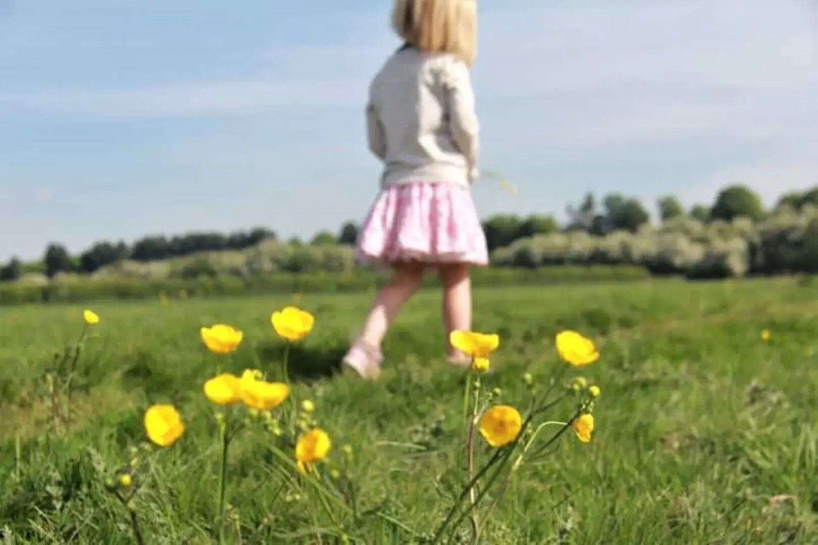 Casa Marfil - Hostel