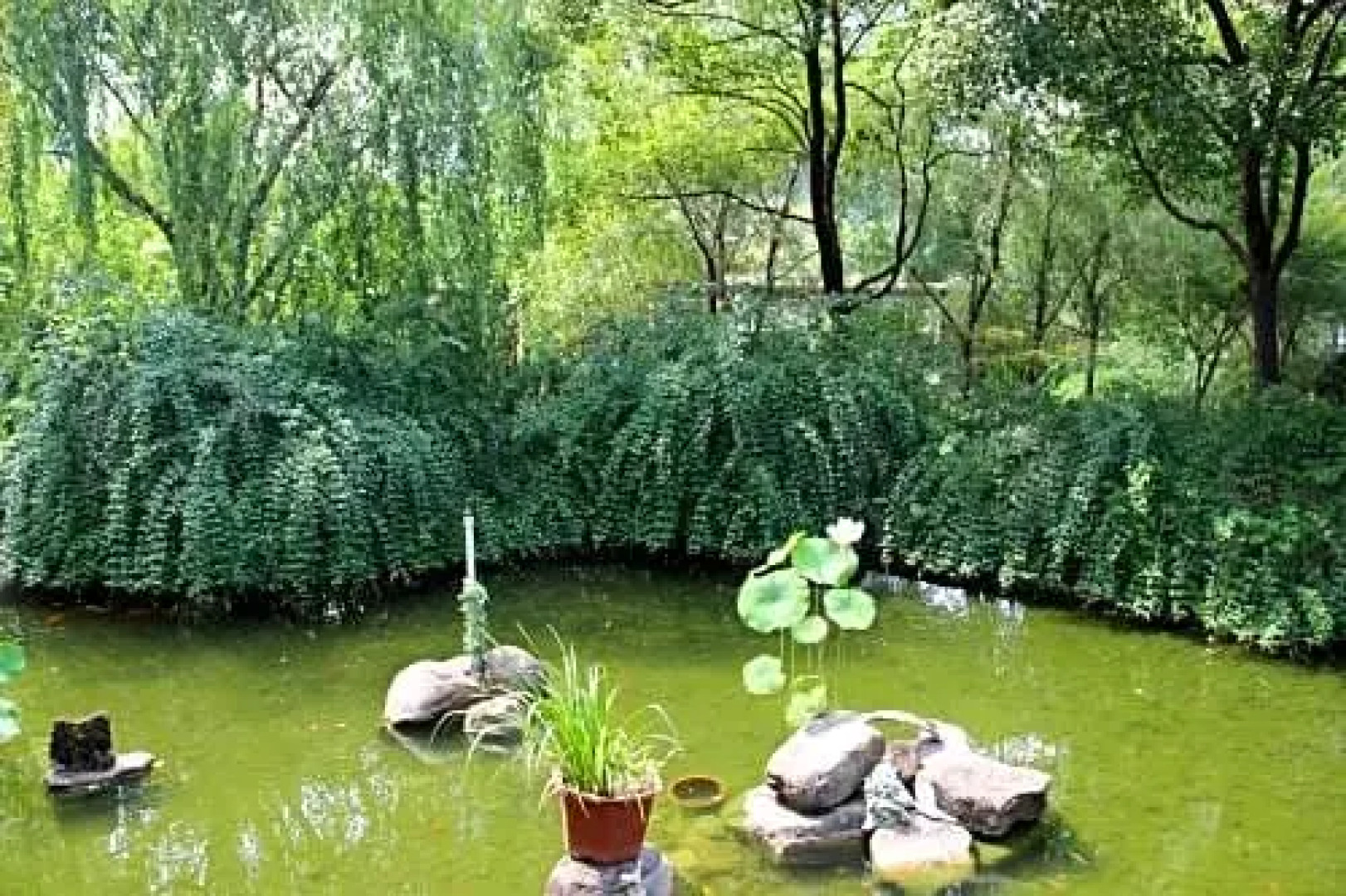 Rayfont Hotel South Bund Shanghai