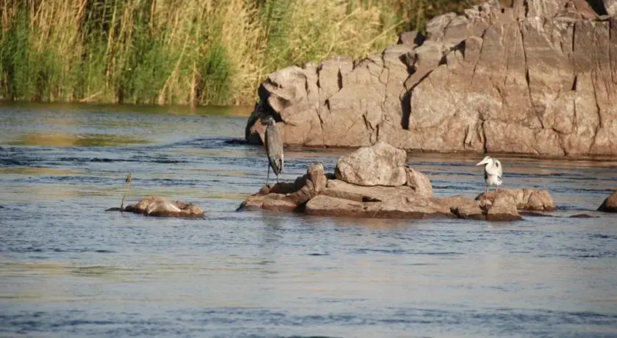 Nile Adventure Sailing Boat