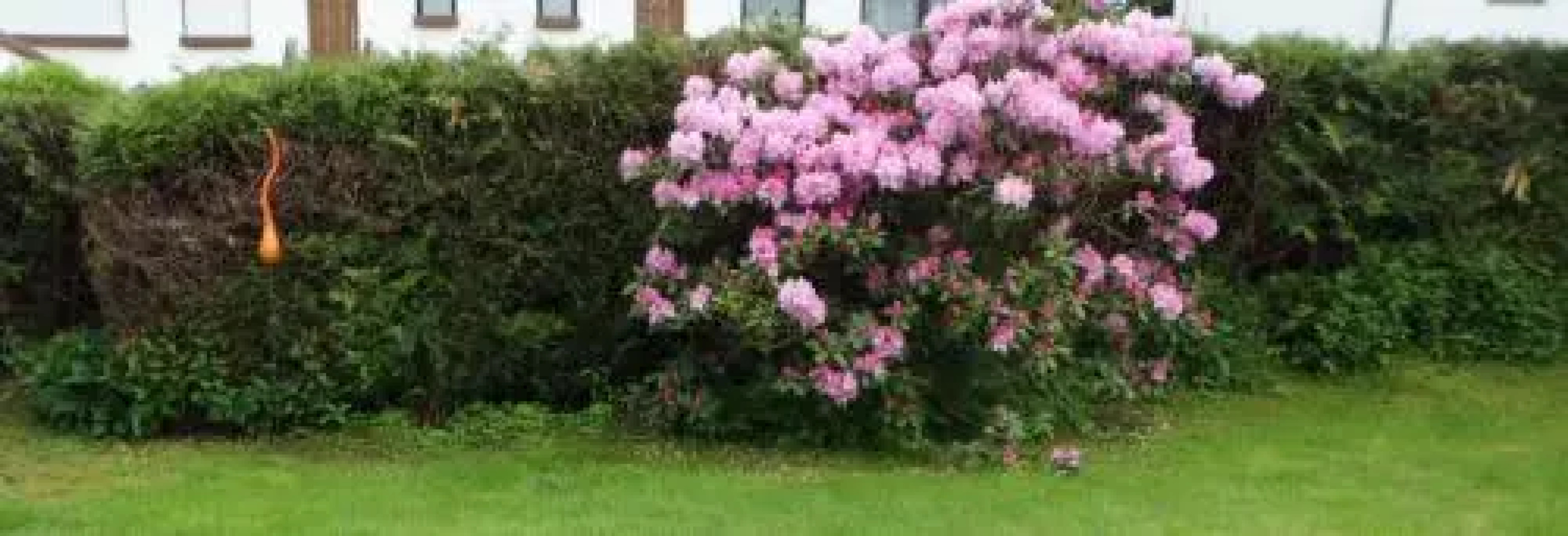 Ferienhaus Tettenweis