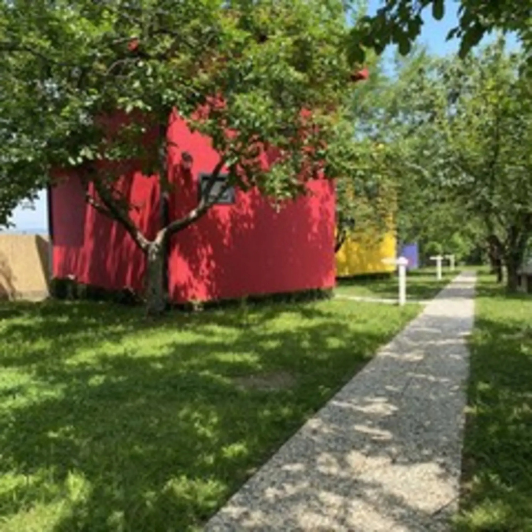 Rif Sapanca