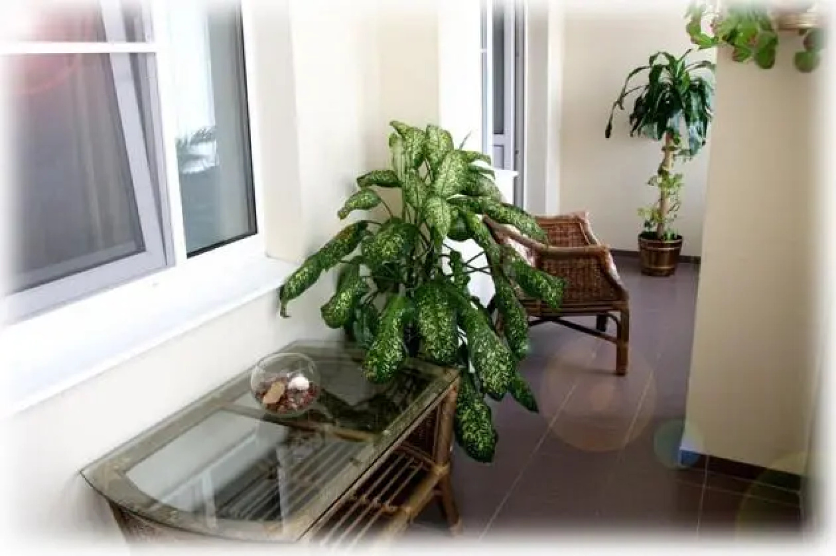 Сосновый Бор