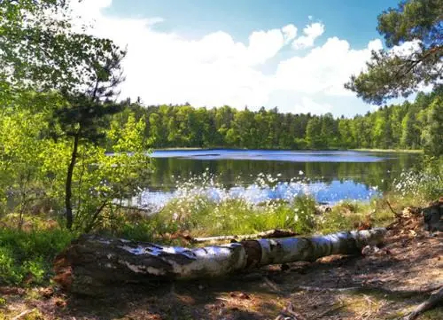 Ferienhaus Zirchow 1