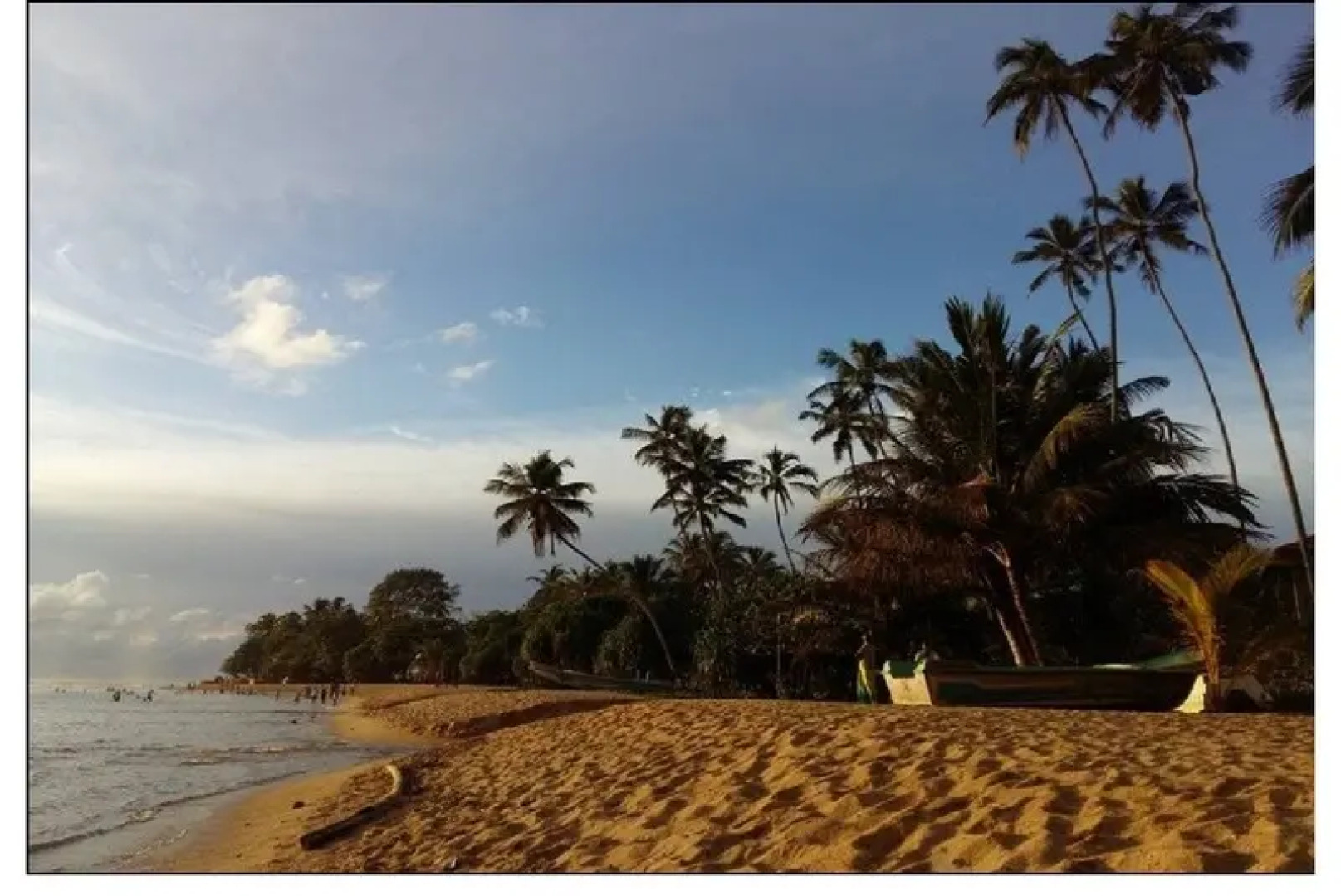 Taprospa  Footprints"