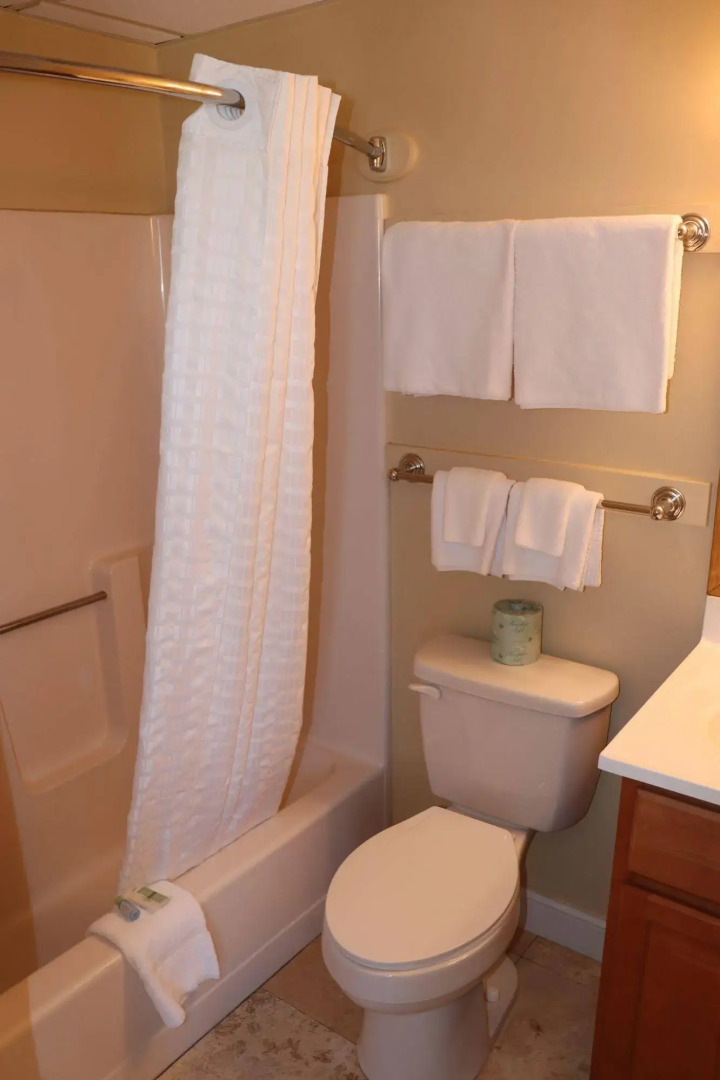 Trade Winds on the Bay