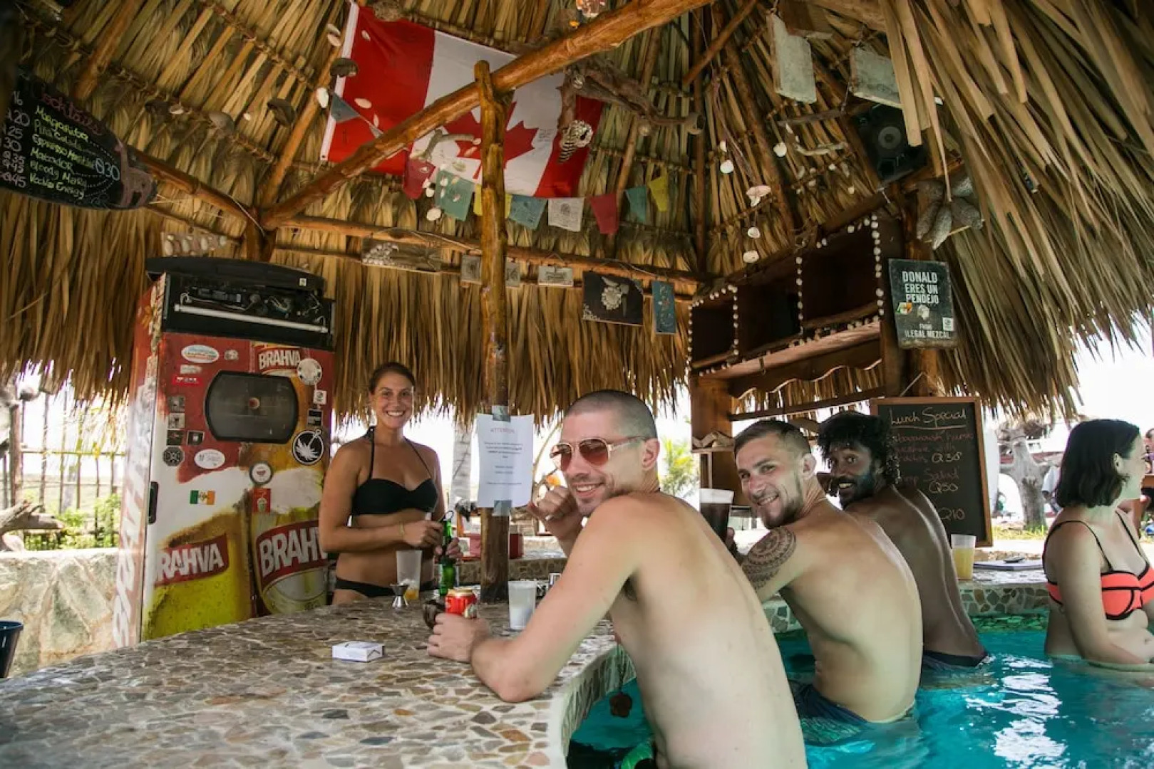 The Driftwood Surfer