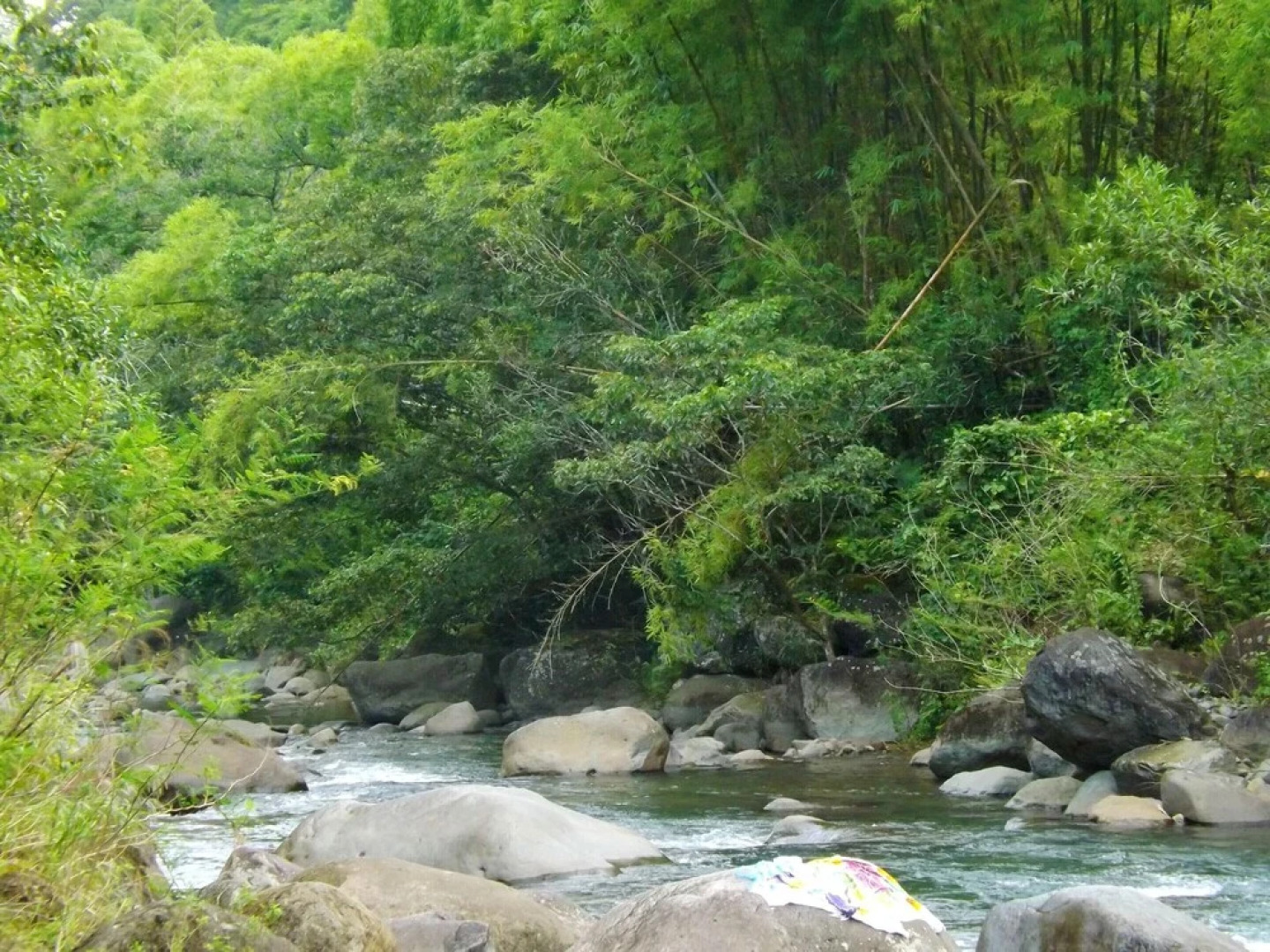 Studio in Marigot, With Wonderful sea View, Enclosed Garden and Wifi