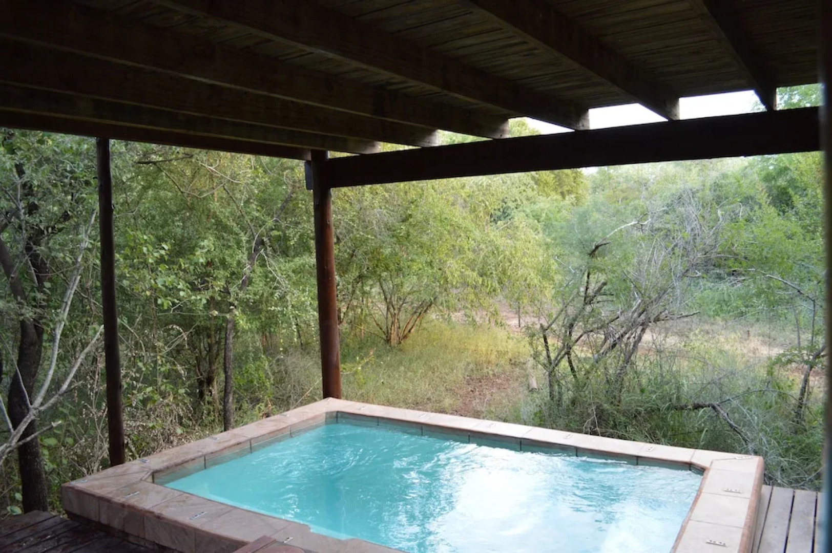 Lion Tree Bush Lodge