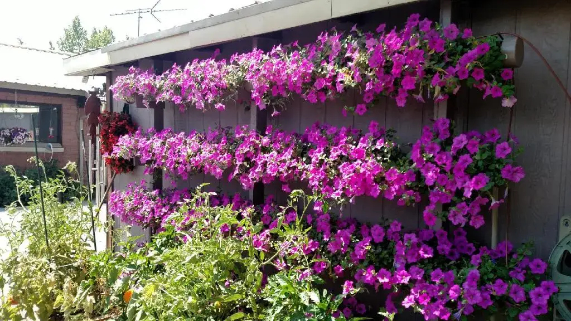 Swiss Mountain Motel