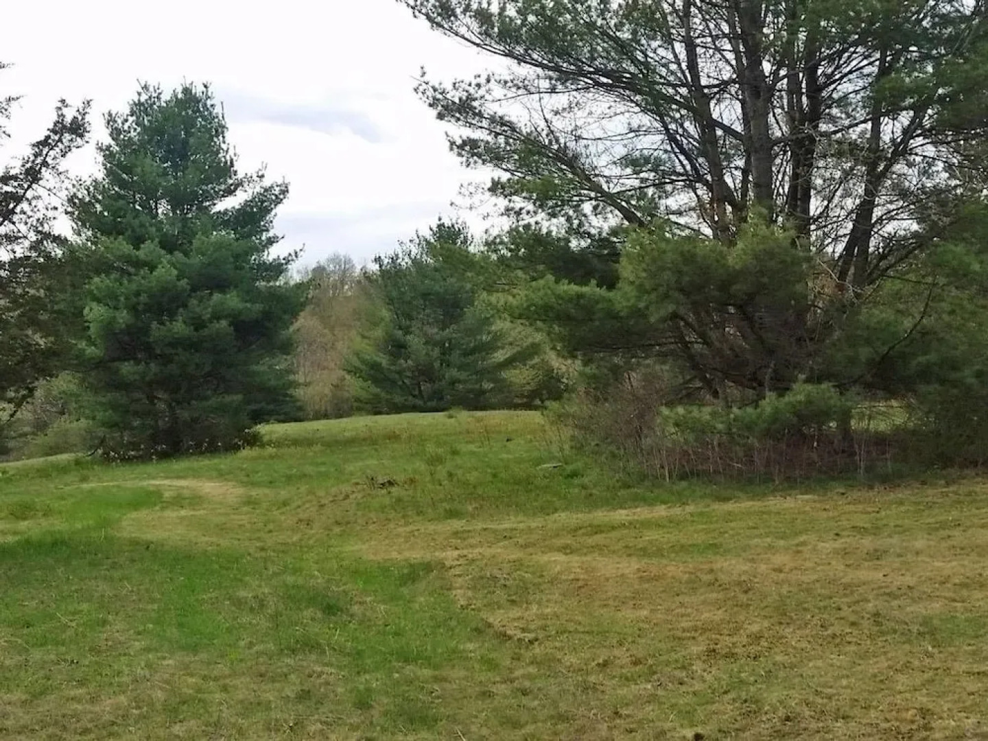 Tentrr - Pleasant Valley Maplecroft Camp-Campsite