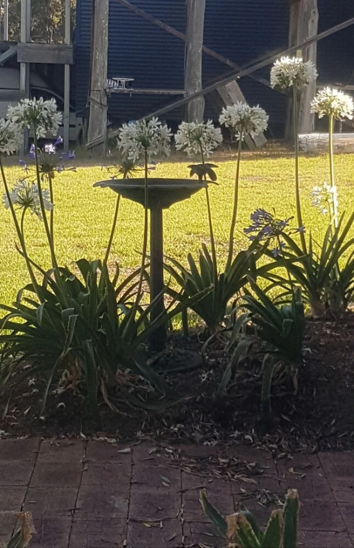 Redtail Ridge Cottages - Adults Only