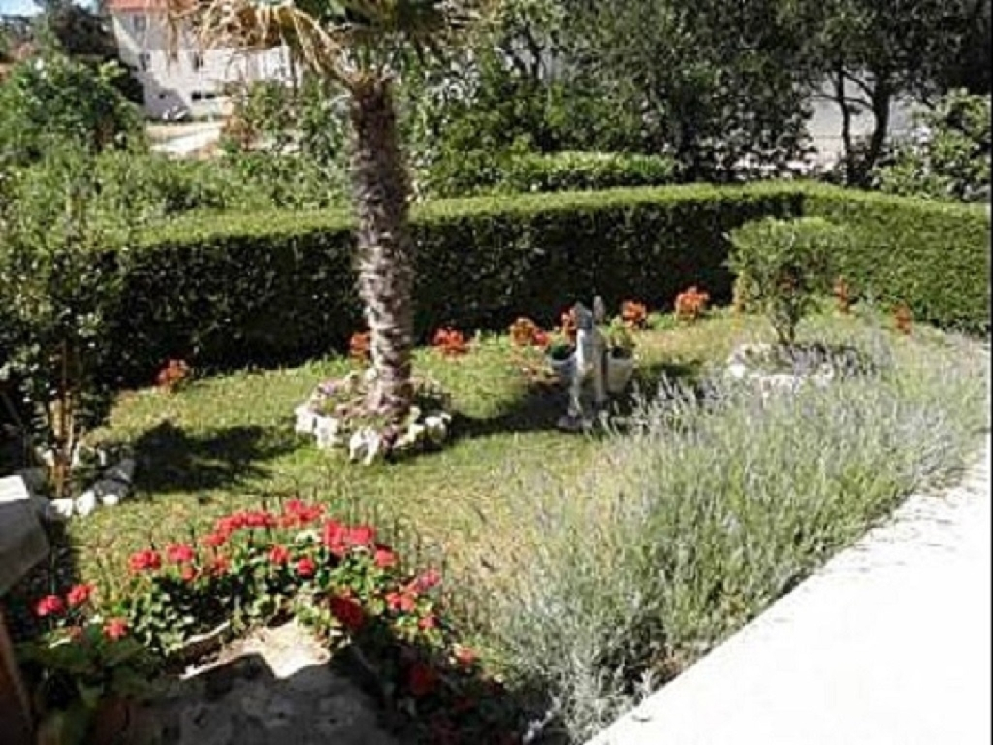 Room Antony - free grill: R1 Novalja, Island Pag