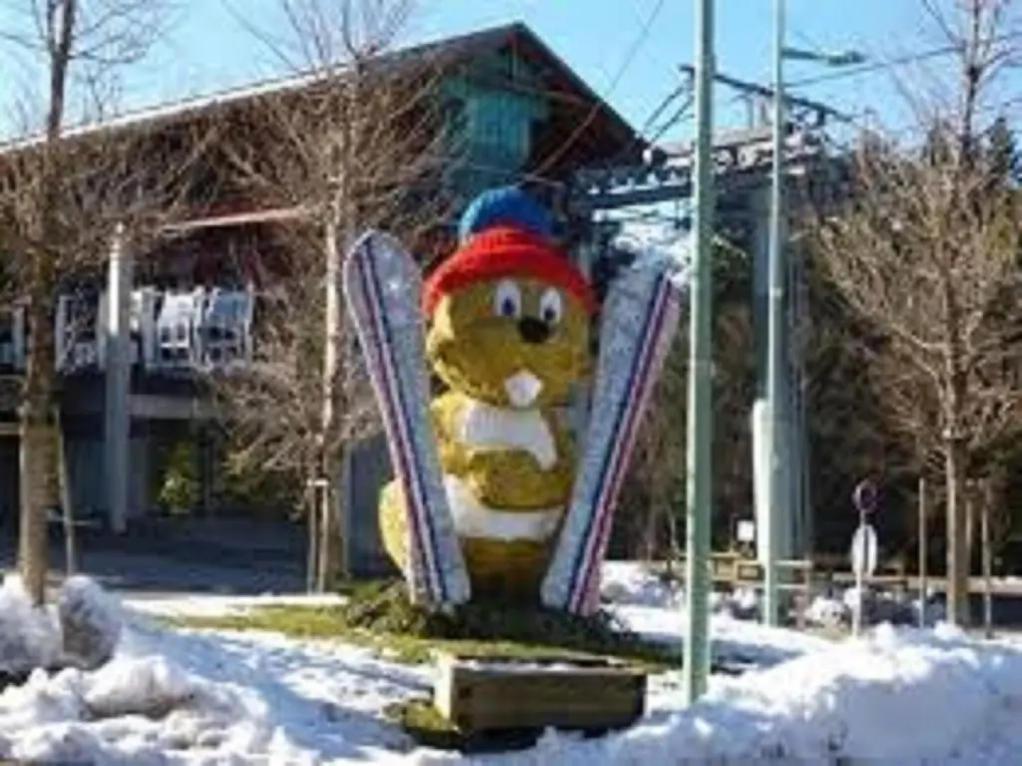 Un Isard au Pied des Pistes