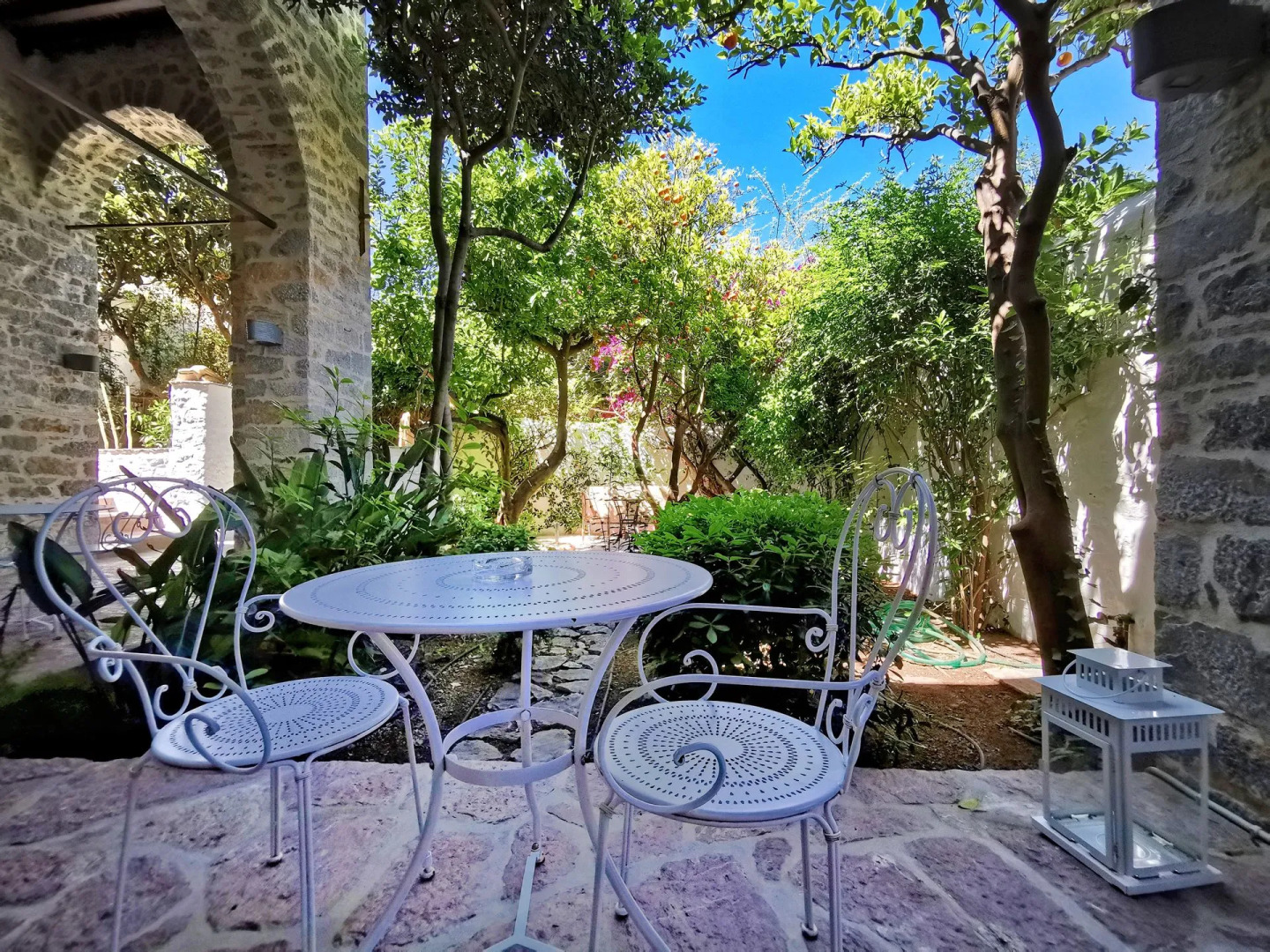 Cotommatae Hydra 1810