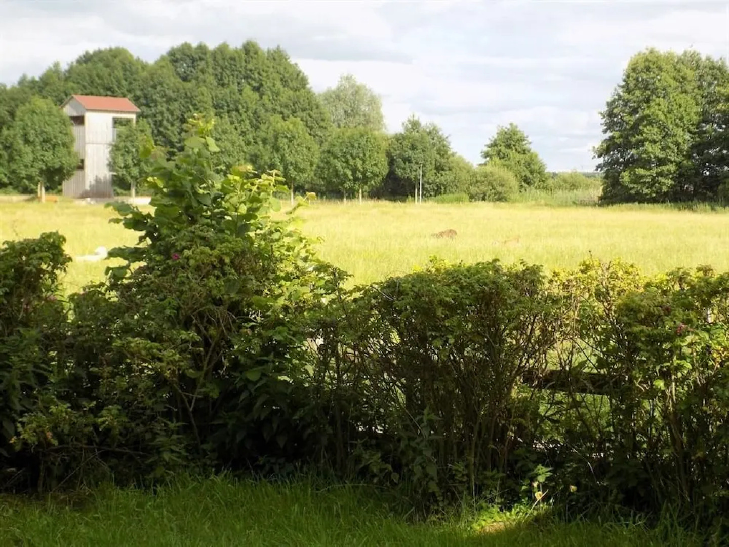 Restaurant und Pension Zur Wildgans