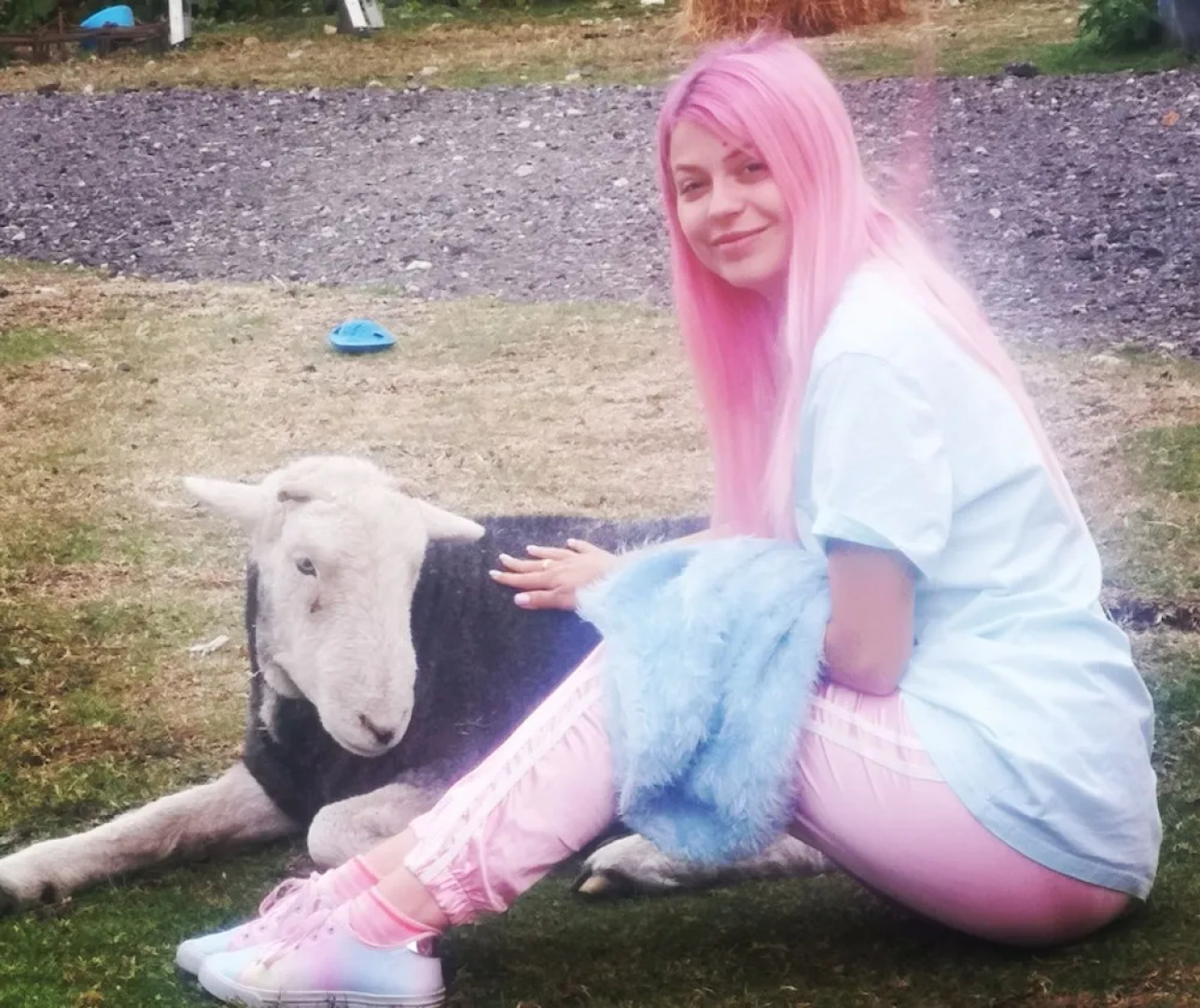 Brampton Dales Farm B&B