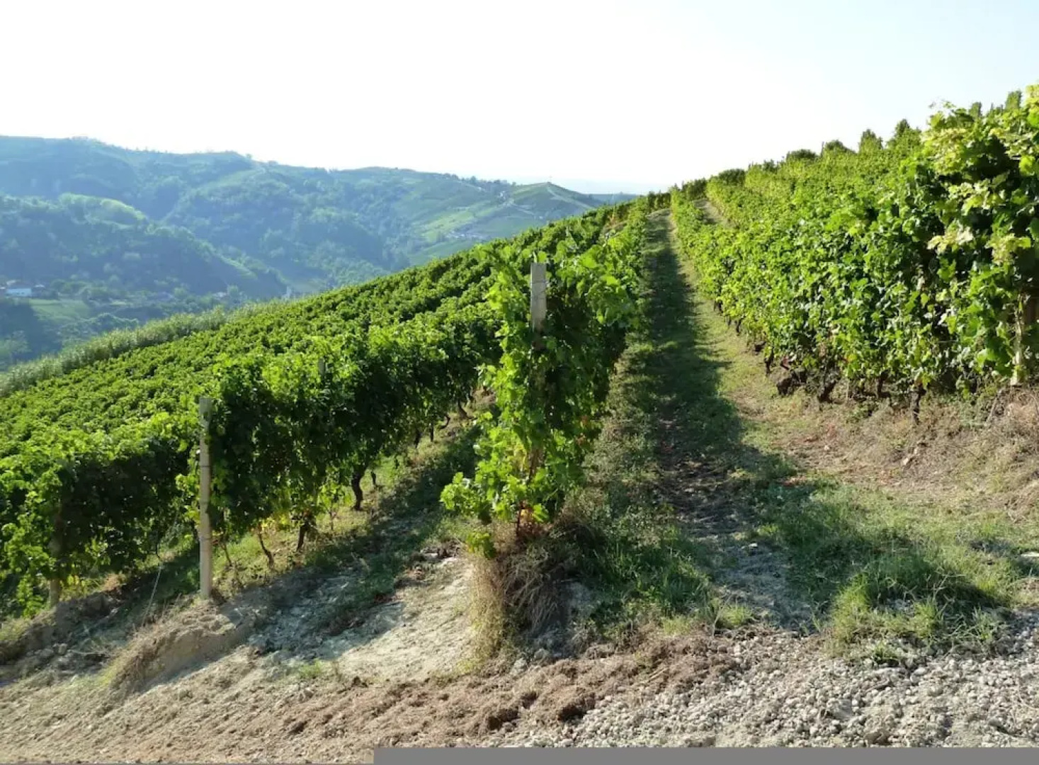 The Bread Oven House