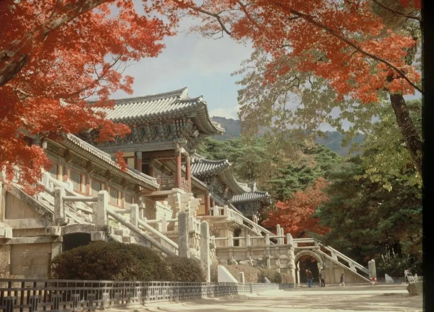 Denbasta heritage Hotel