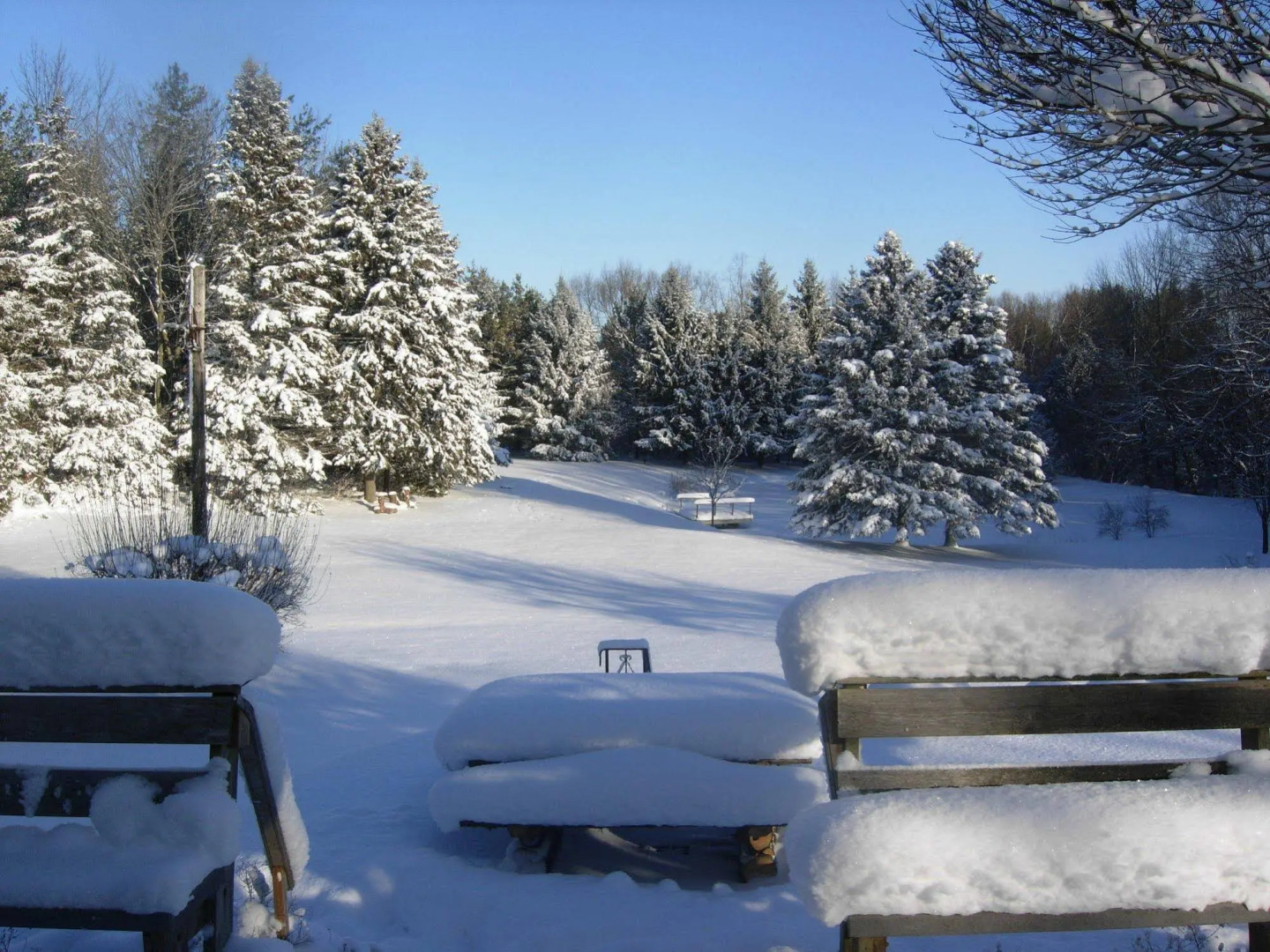 Koch Haus Bed & Breakfast