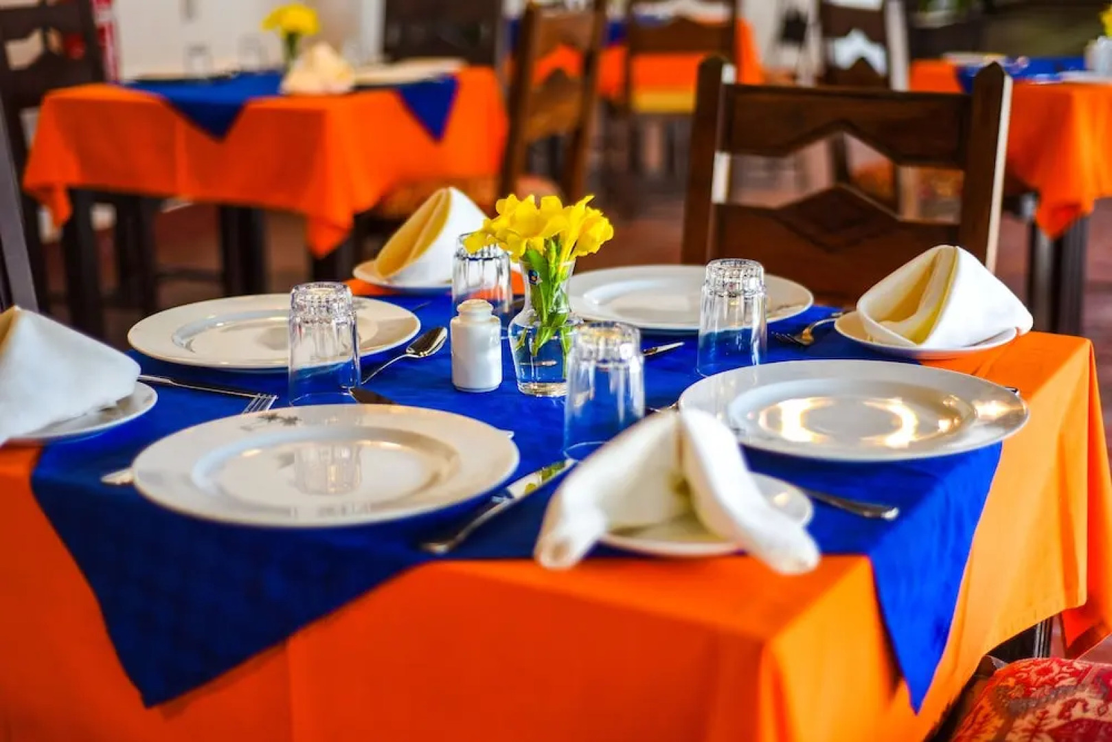 Alliance Safari Beach