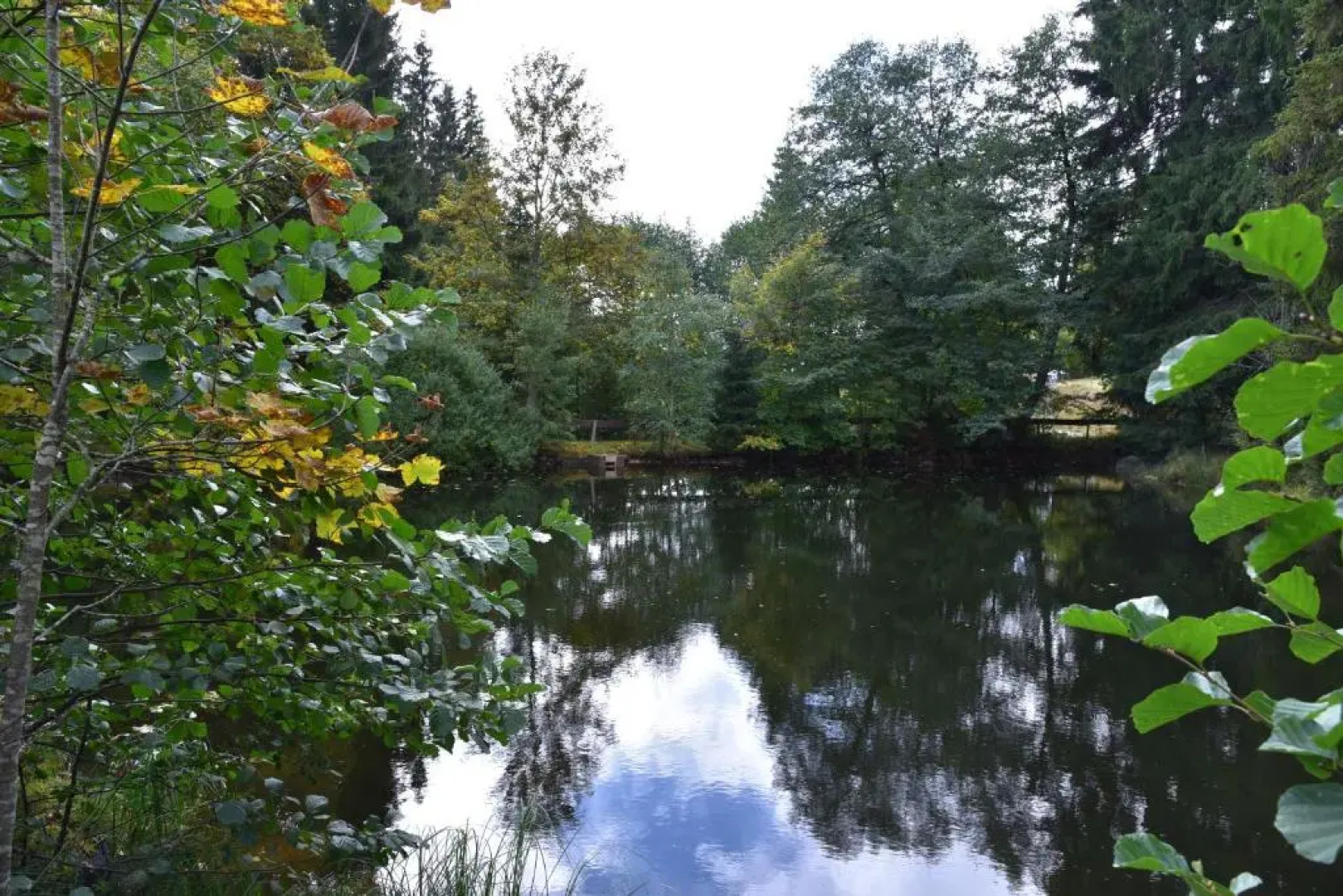 Apartment Eisenhauer in Schluchsee