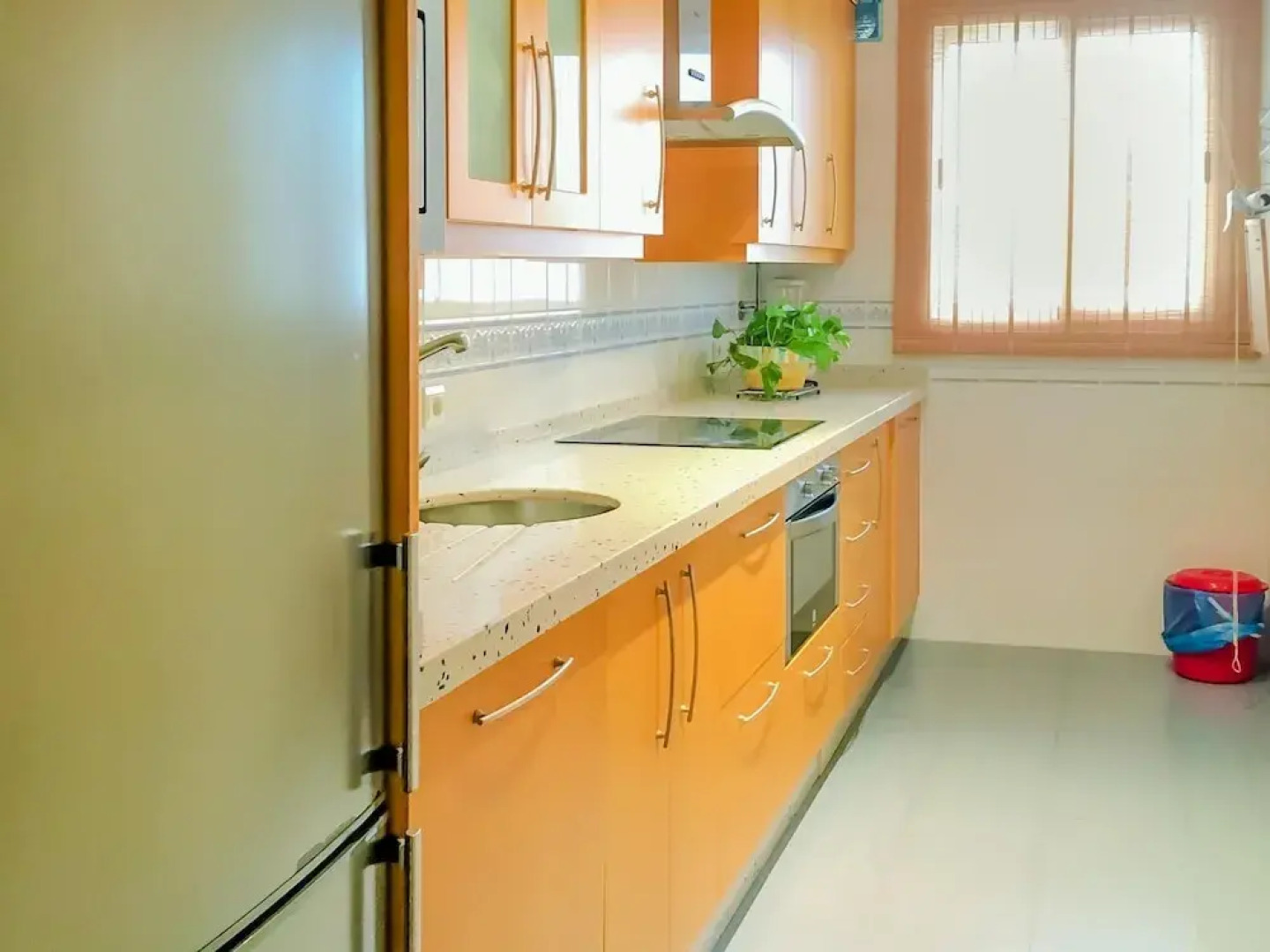 Rosa DE LOS Vientos 207 15665